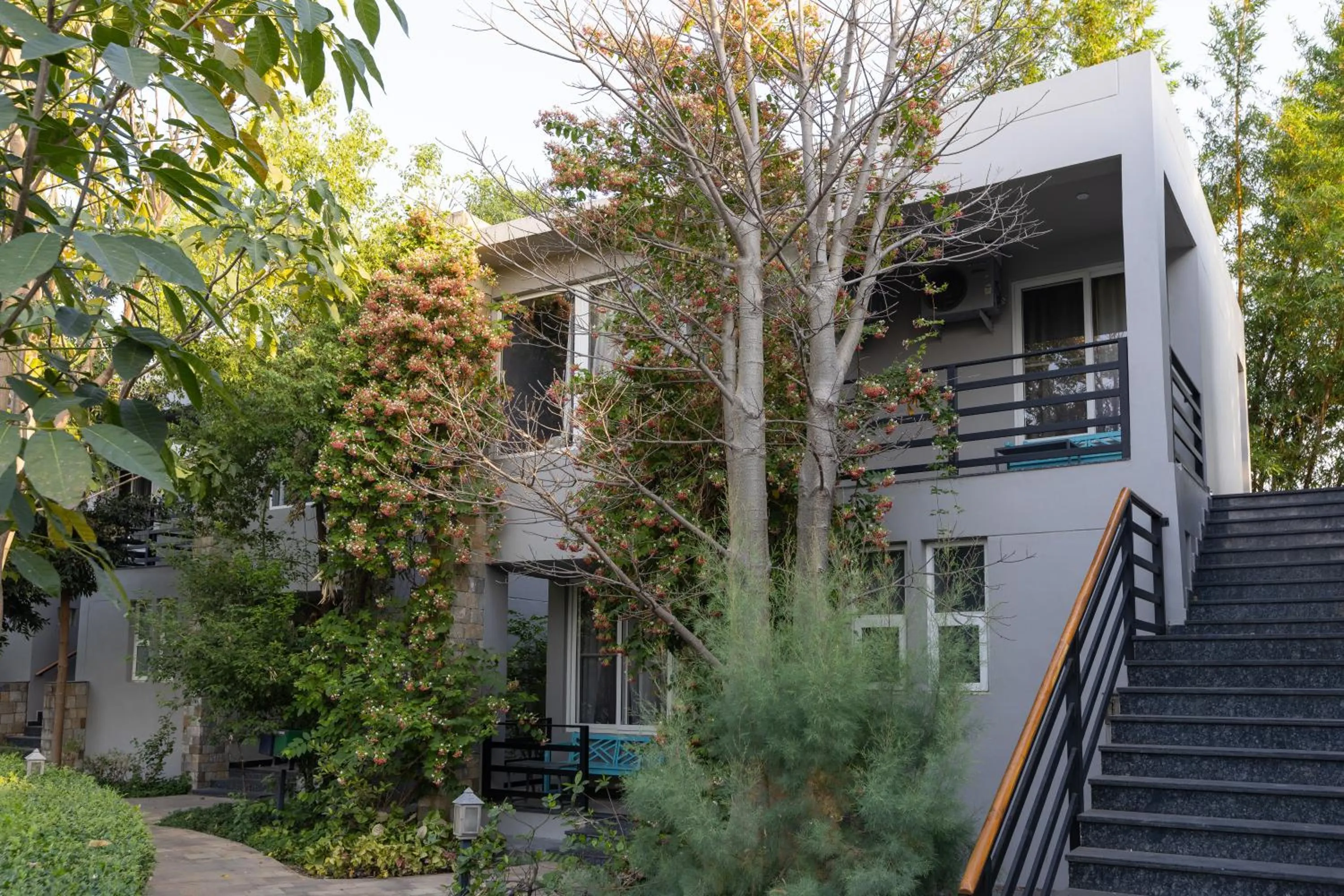 The Golden Tusk By Ivory Destinations