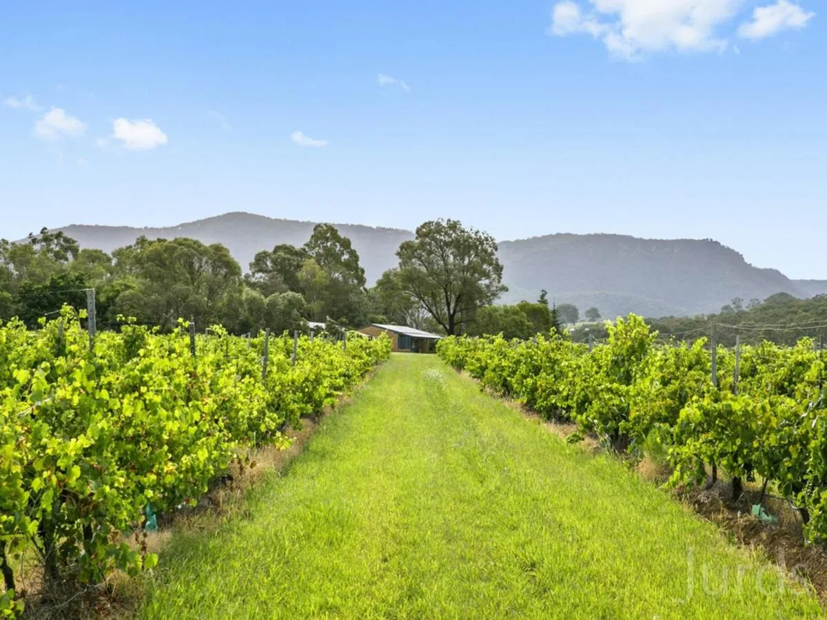 View (from property/room) in Pokolbin Farm Stay