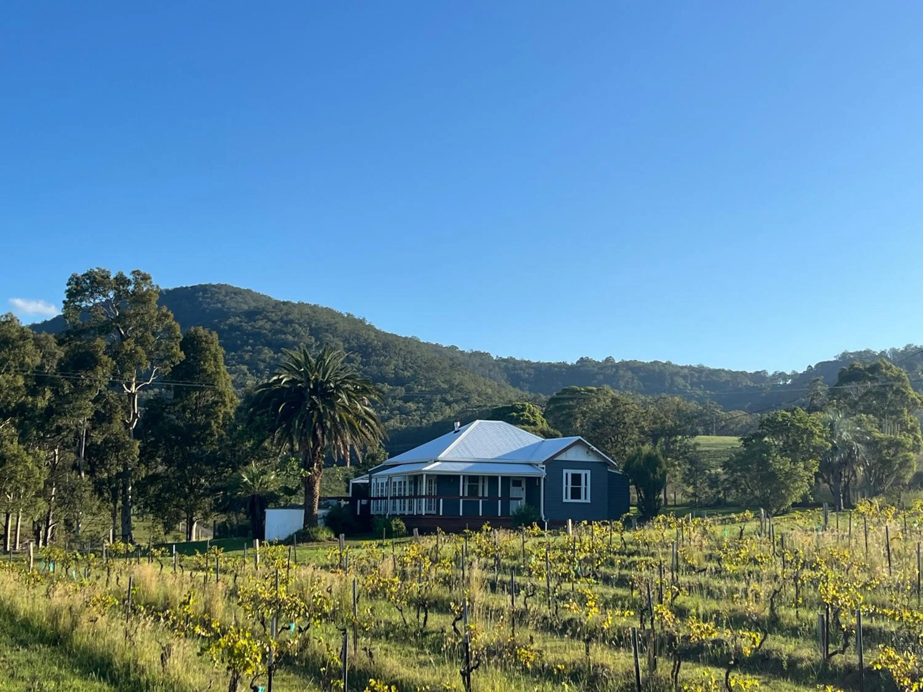 Property building in Pokolbin Farm Stay