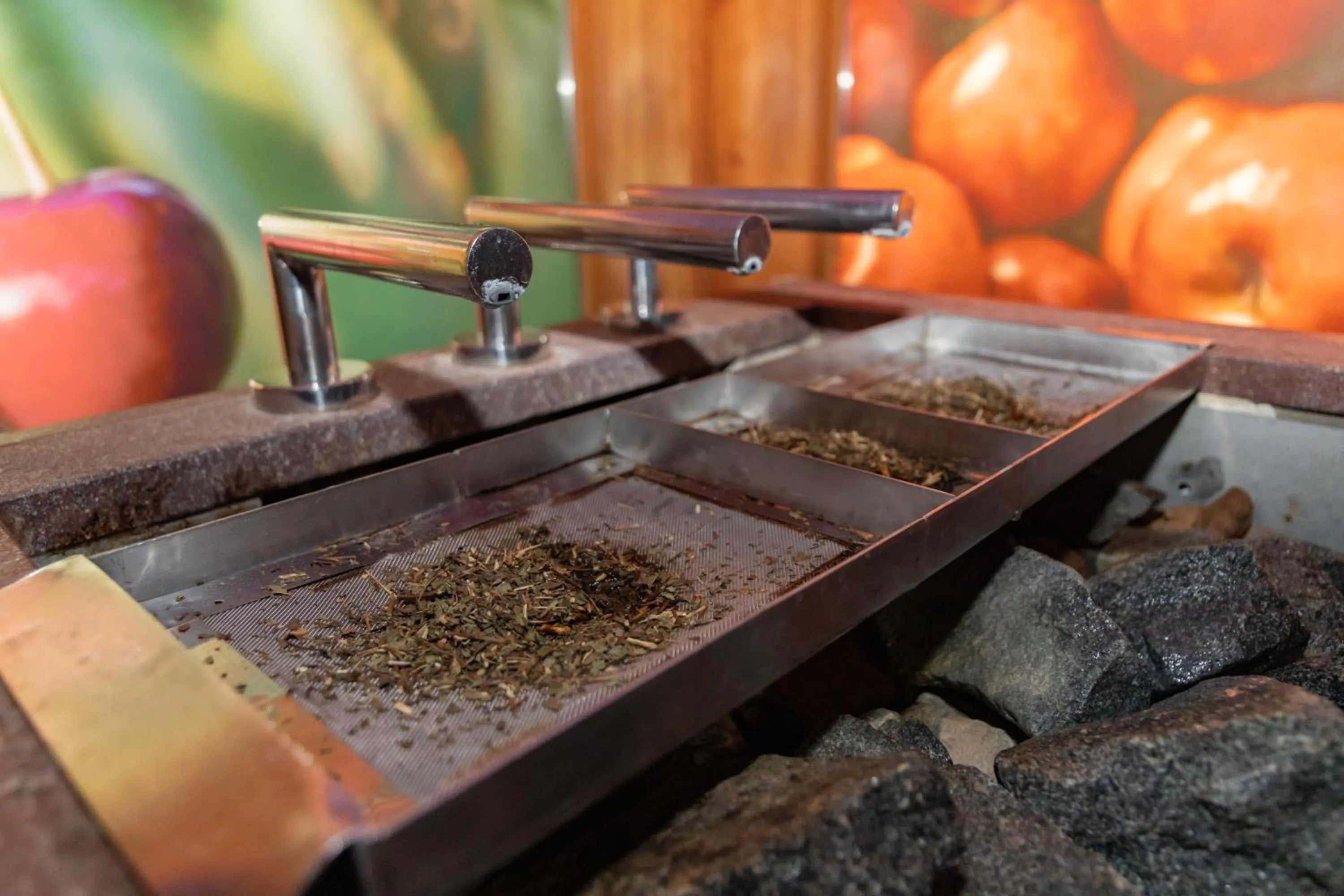 Sauna in Hotel Toplice - Terme Krka