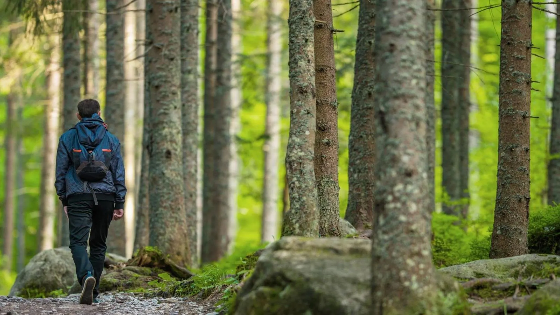 Other in Residence Nube D'Argento