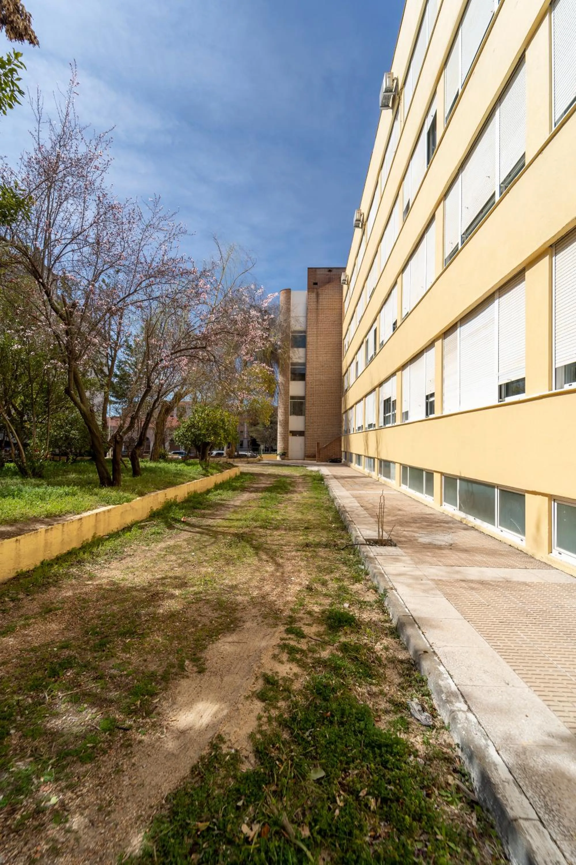 Property building in Hotel La Mota by Punta25 Hotels Group