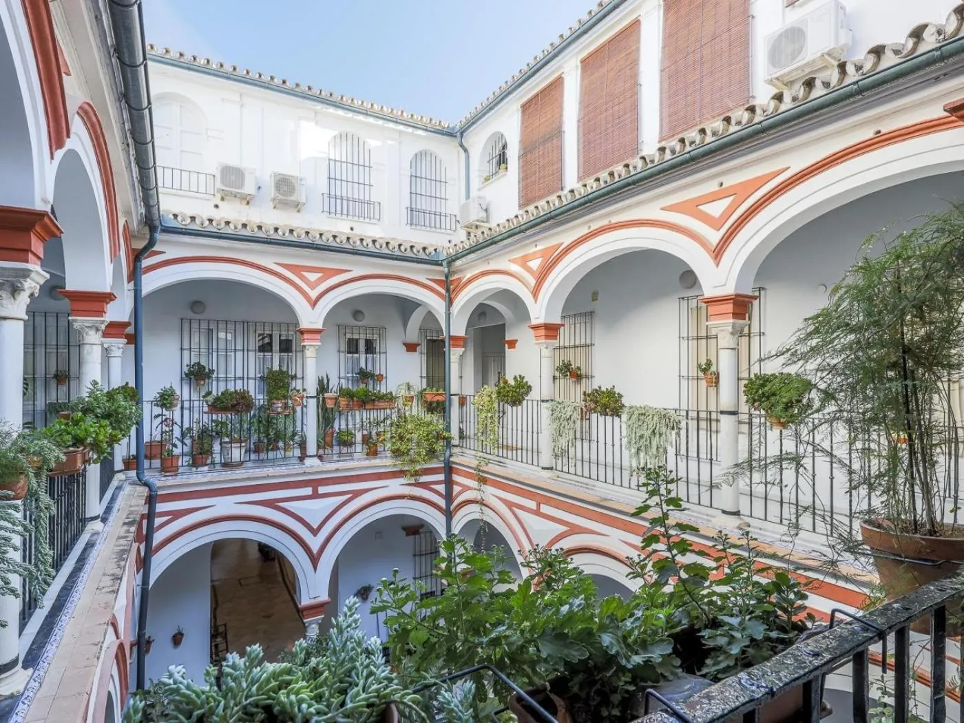 San isidoro 12 nuevo