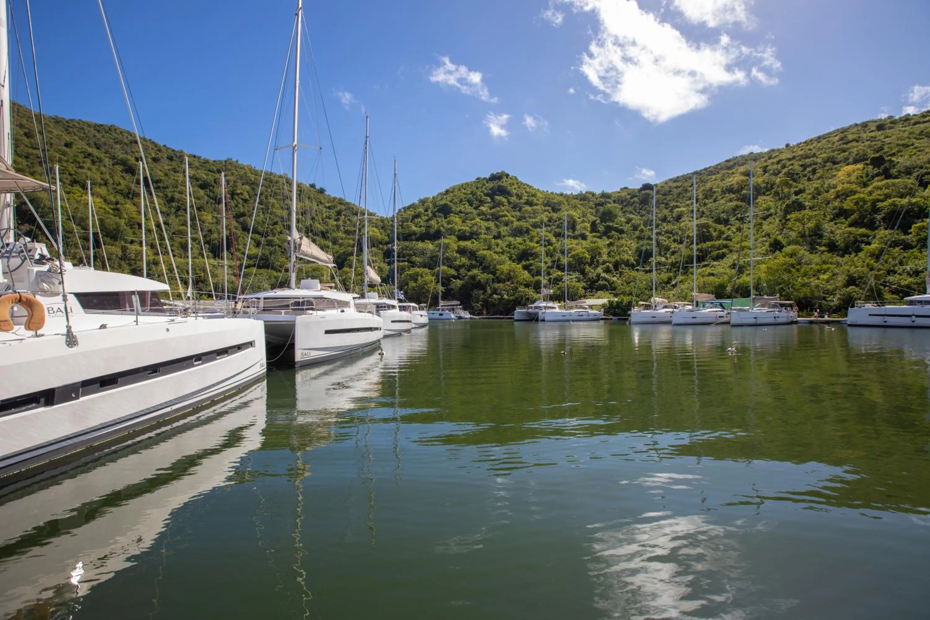 Natural landscape in Blue Sail Hotel