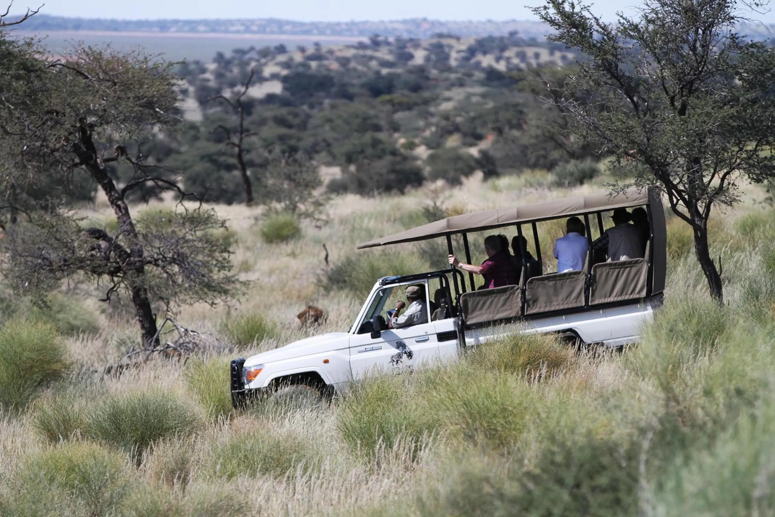 View (from property/room) in Zebra Kalahari Lodge