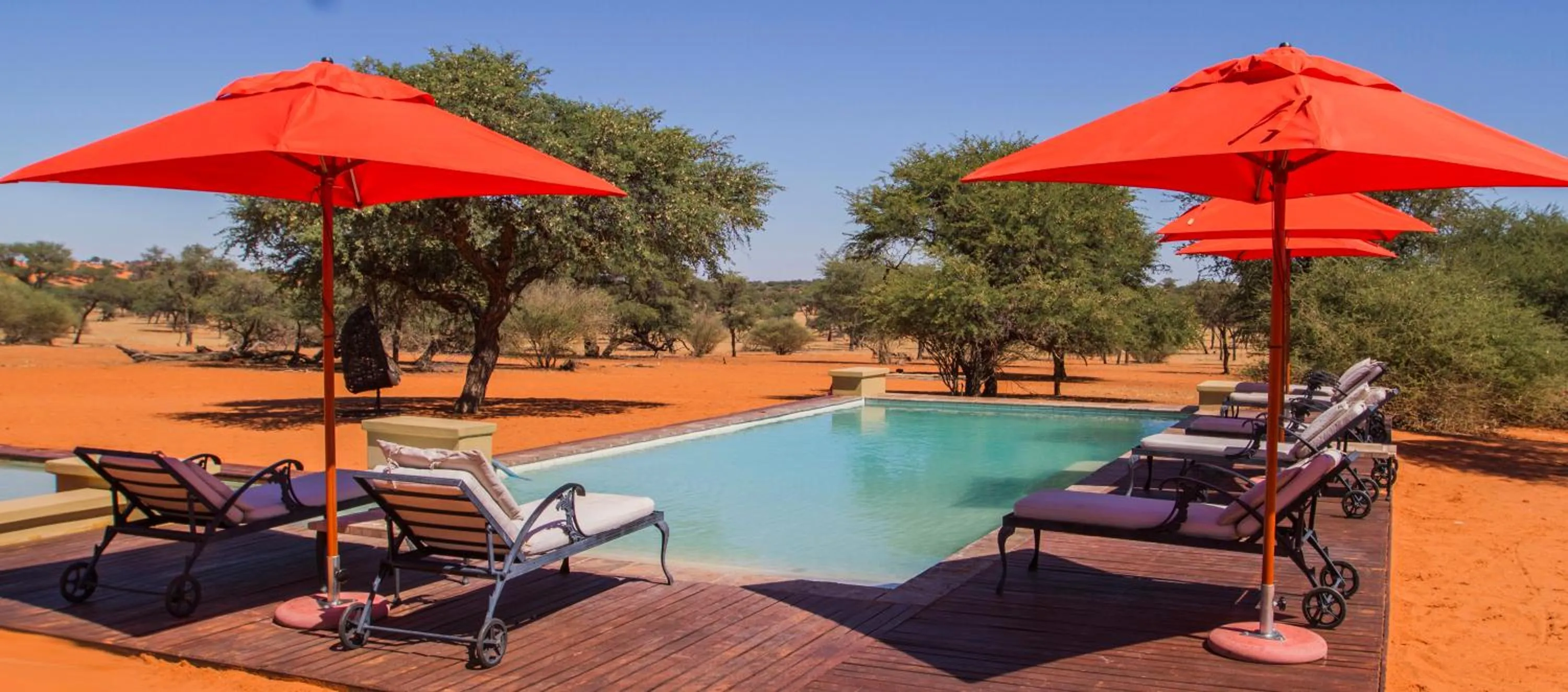 Patio in Zebra Kalahari Lodge