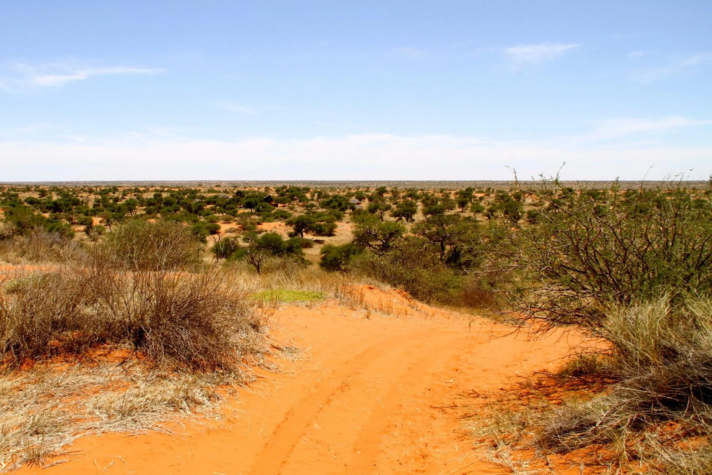Zebra Kalahari Lodge