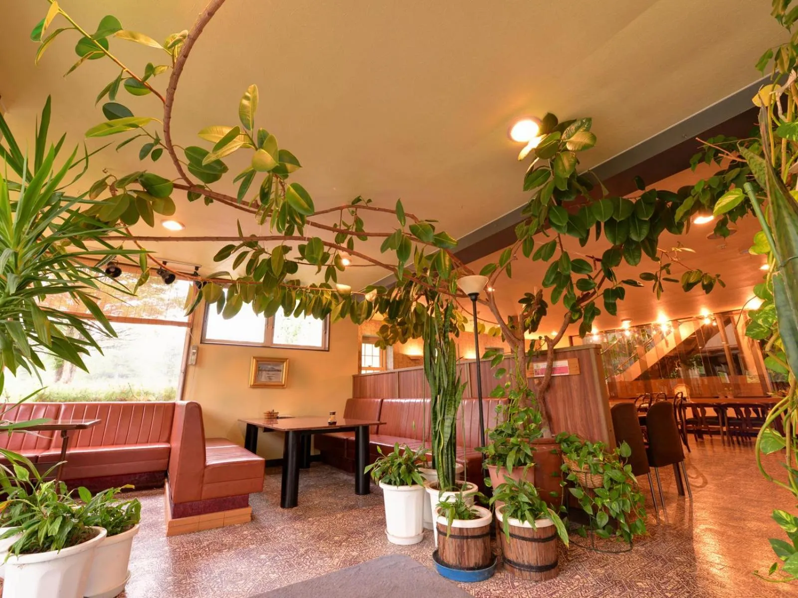 Restaurant/places to eat in Hotel Parkway