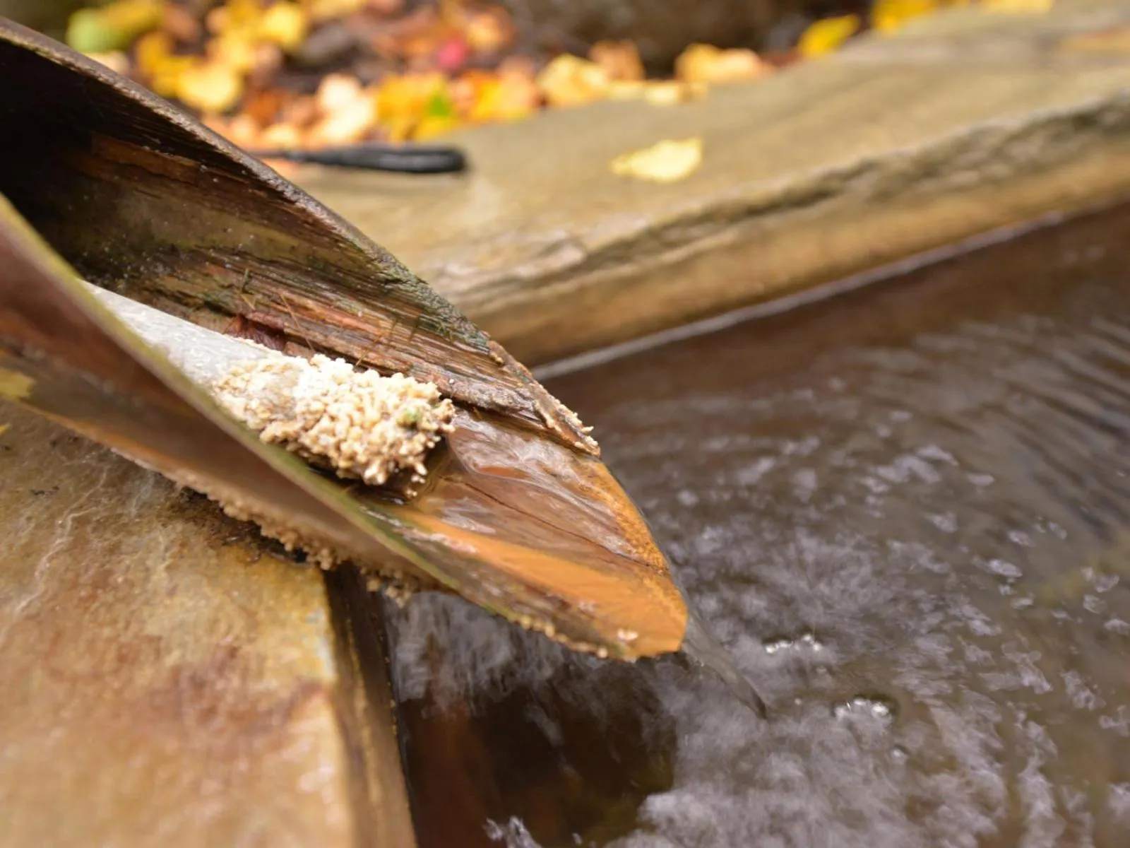 Hot Spring Bath in Hotel Parkway