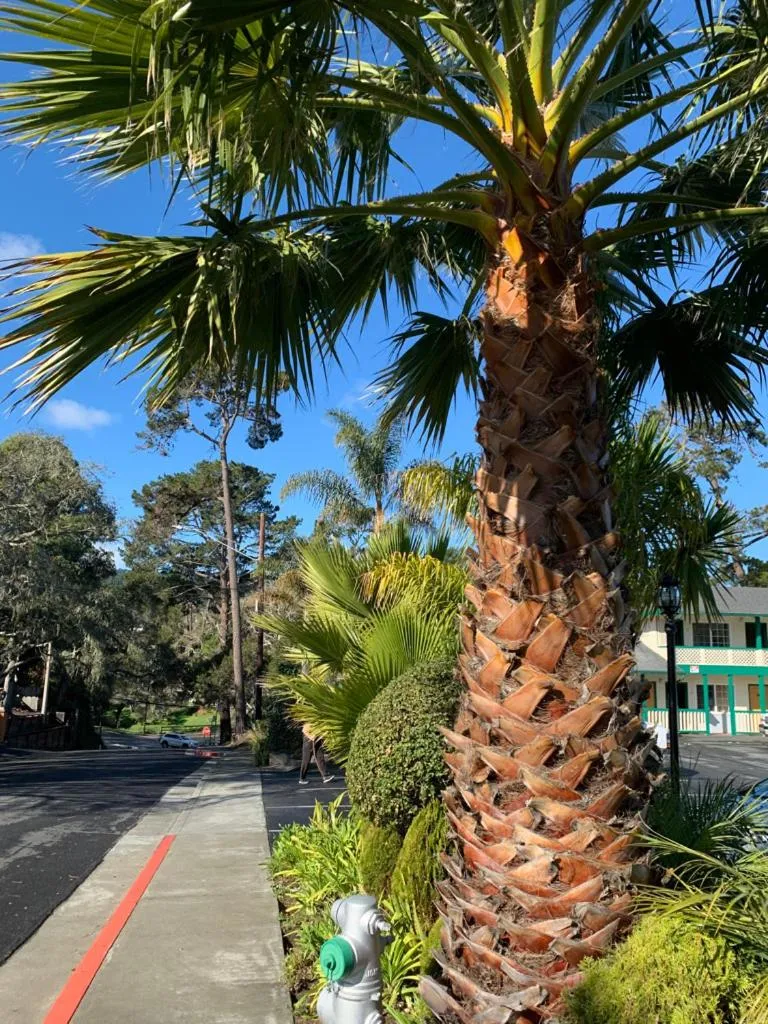 Property building in Monterey Pines Inn