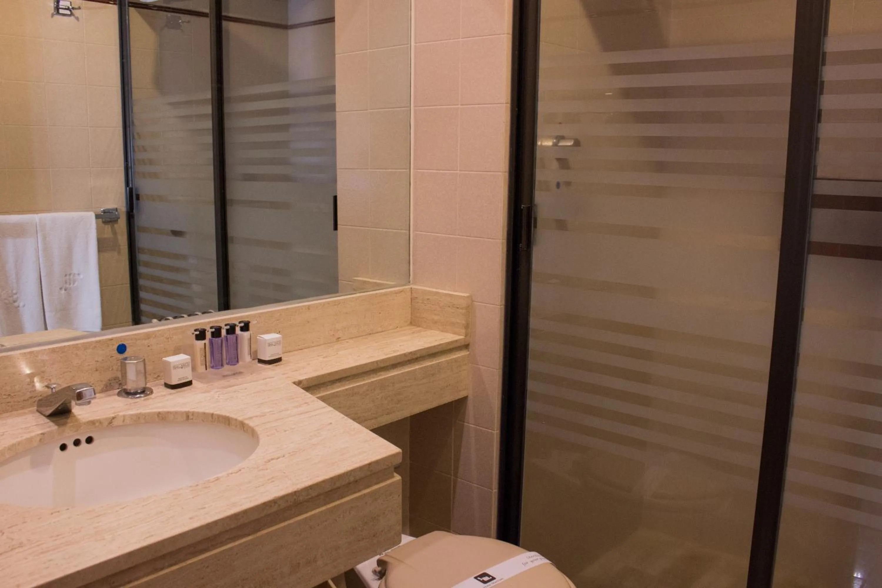 Toilet in Hotel Marlowe Centro Histórico