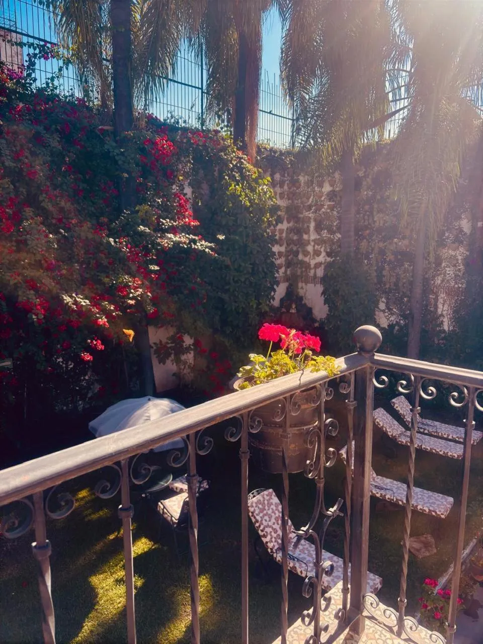 Garden view in Hotel Boutique La Mansión Guadalajara