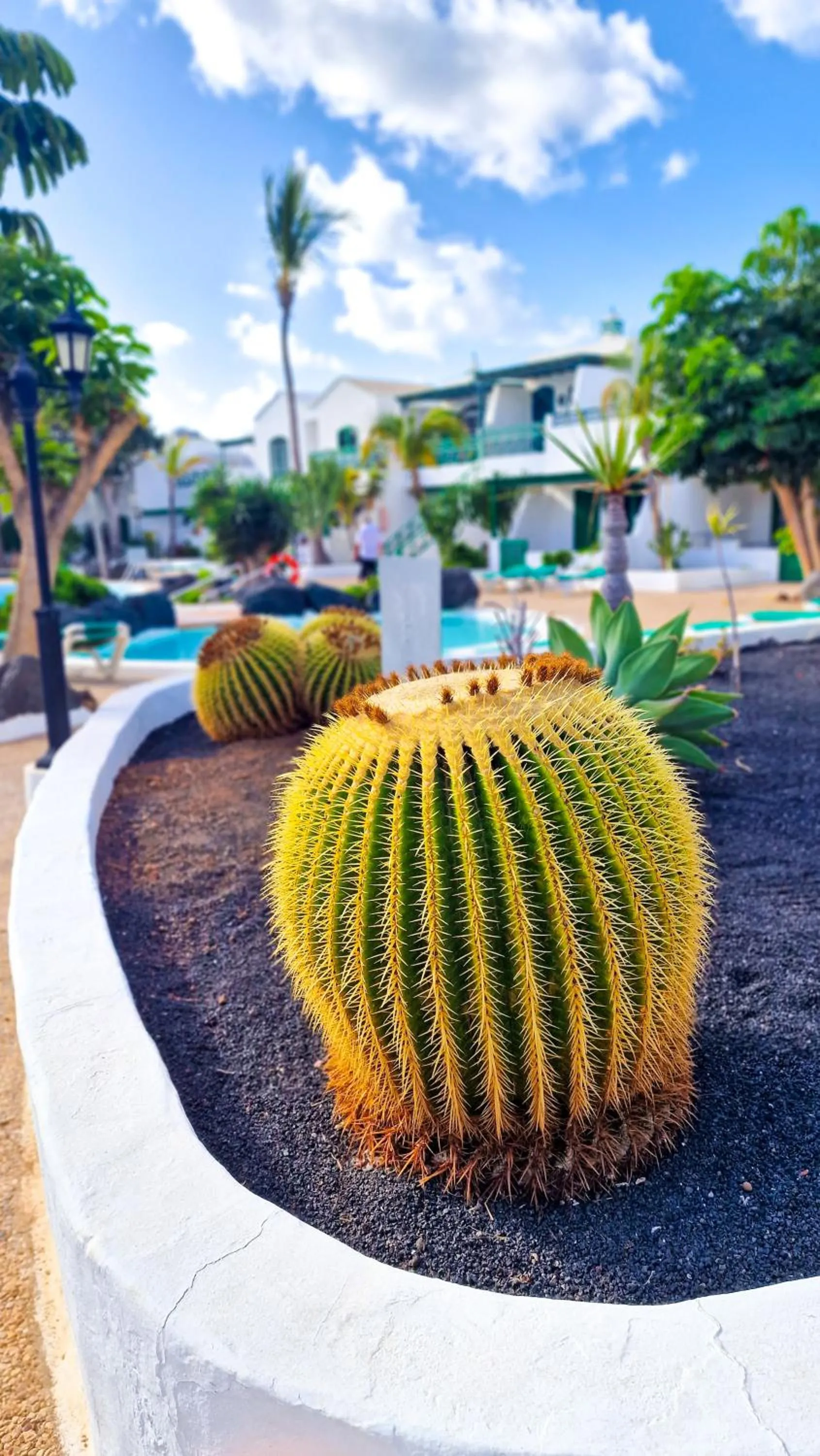 Garden in Un capricho