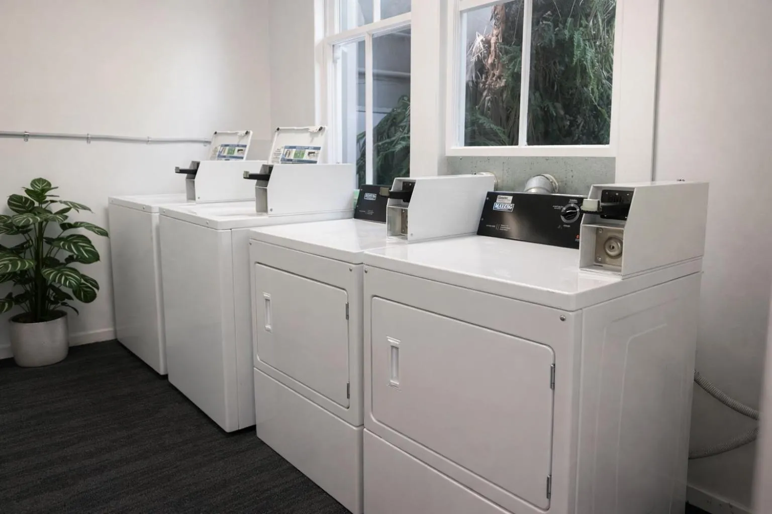 laundry in Gamma Hotel