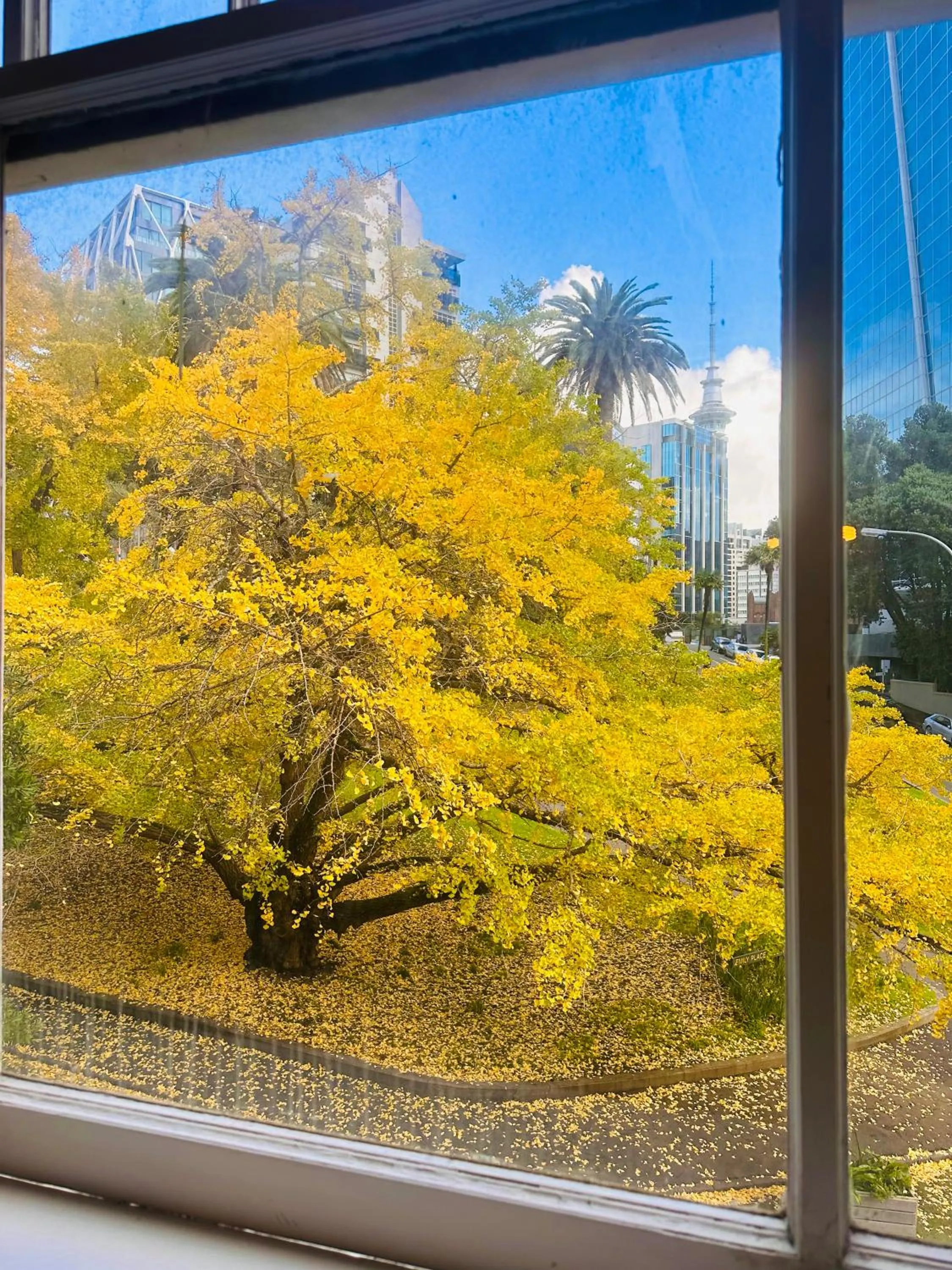 Garden in Gamma Hotel