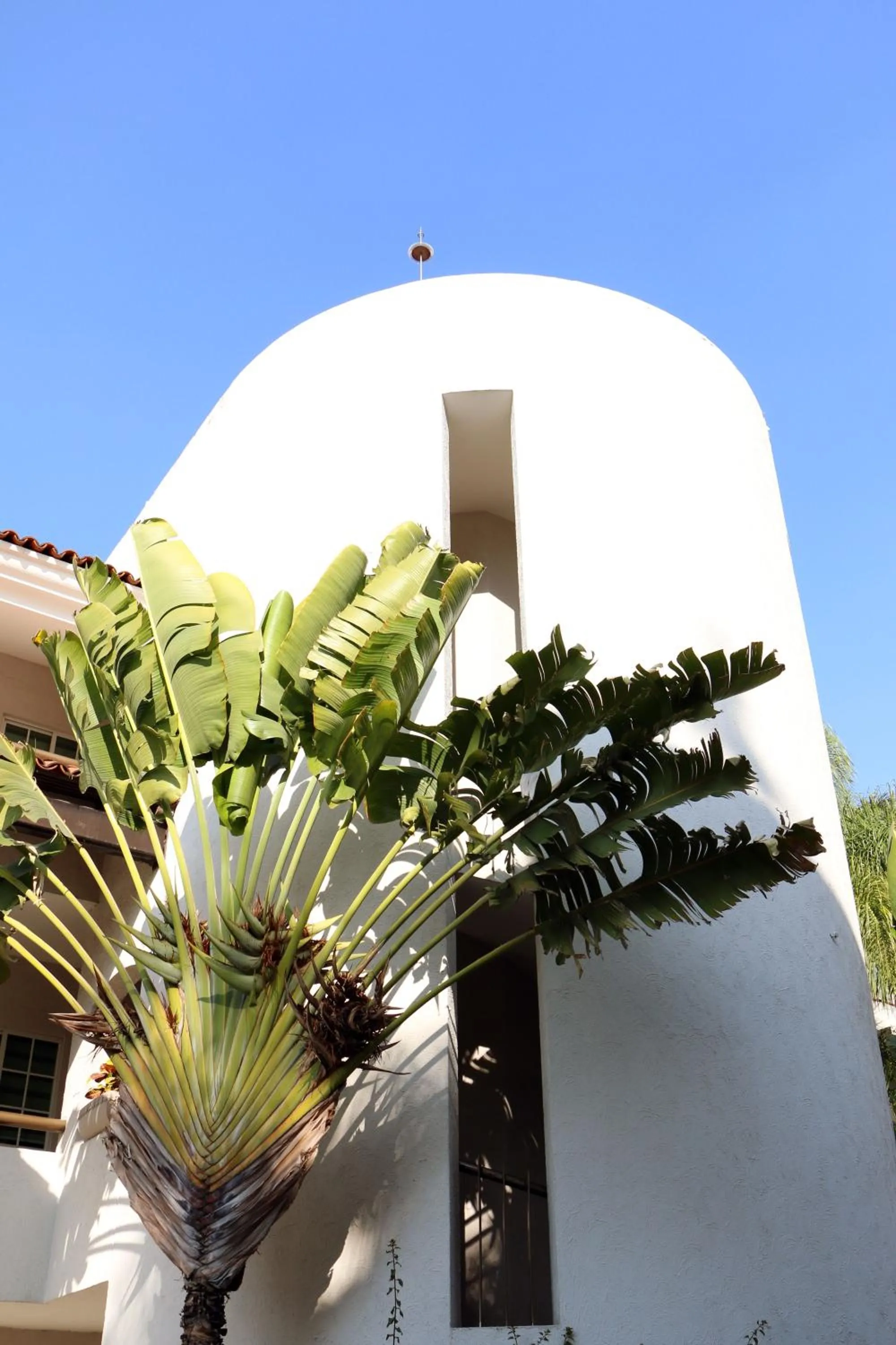 Decorative detail in Áurea Hotel and Suites