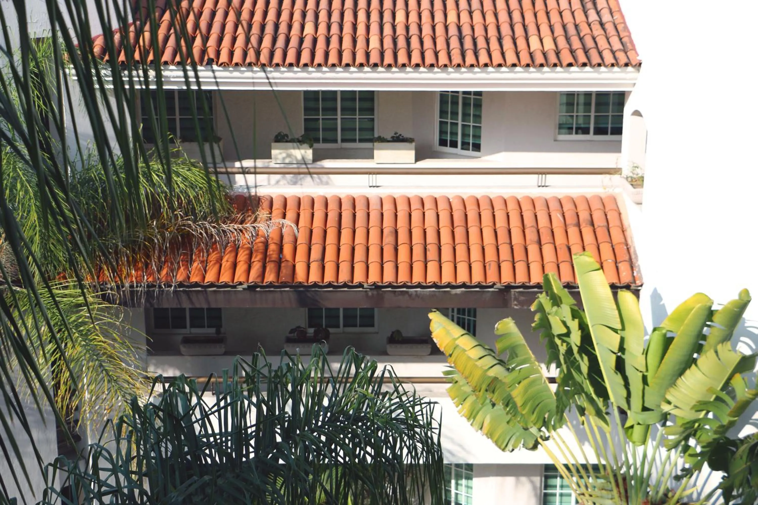 View (from property/room) in Áurea Hotel and Suites