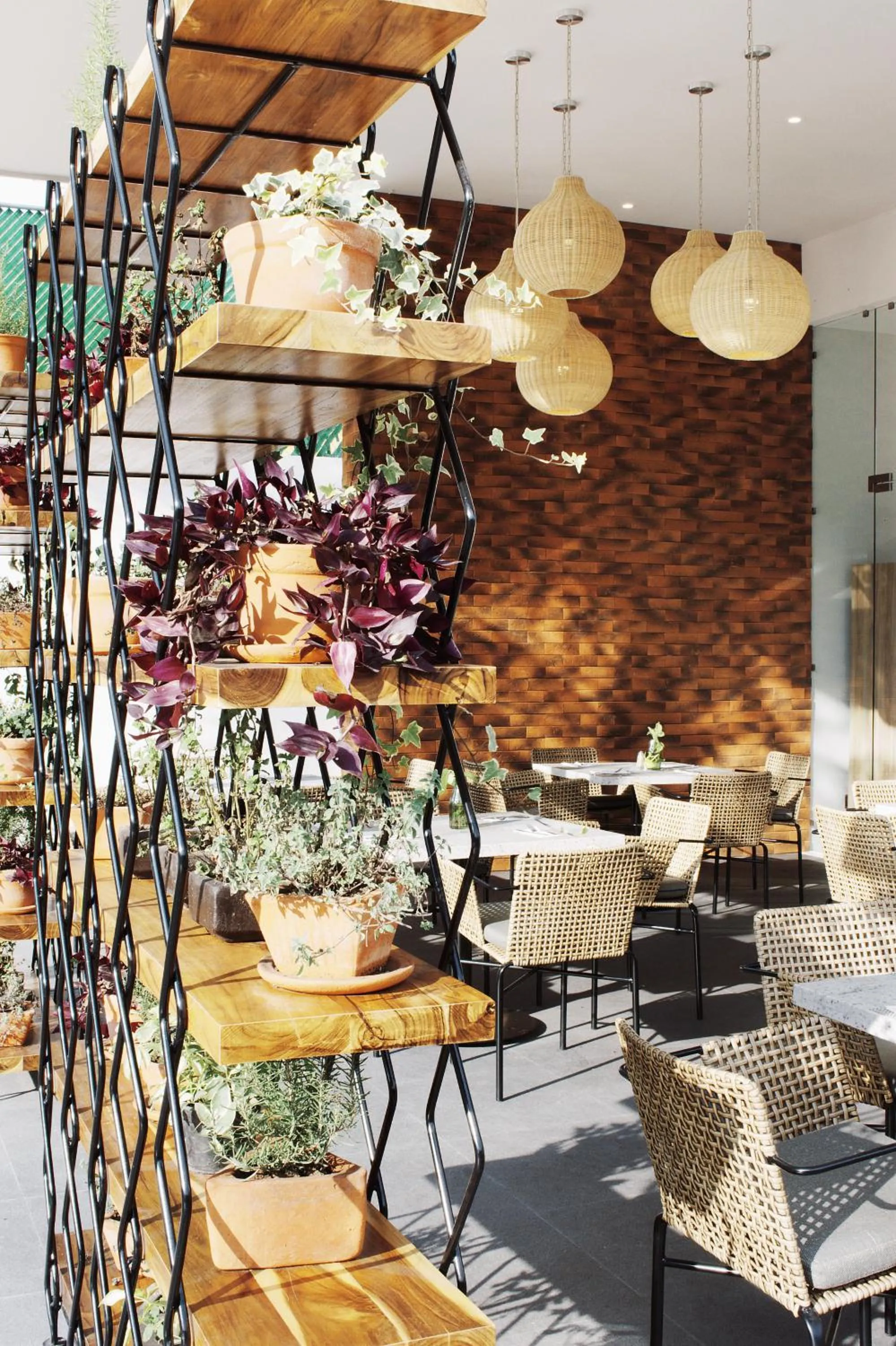 Staff in Áurea Hotel and Suites