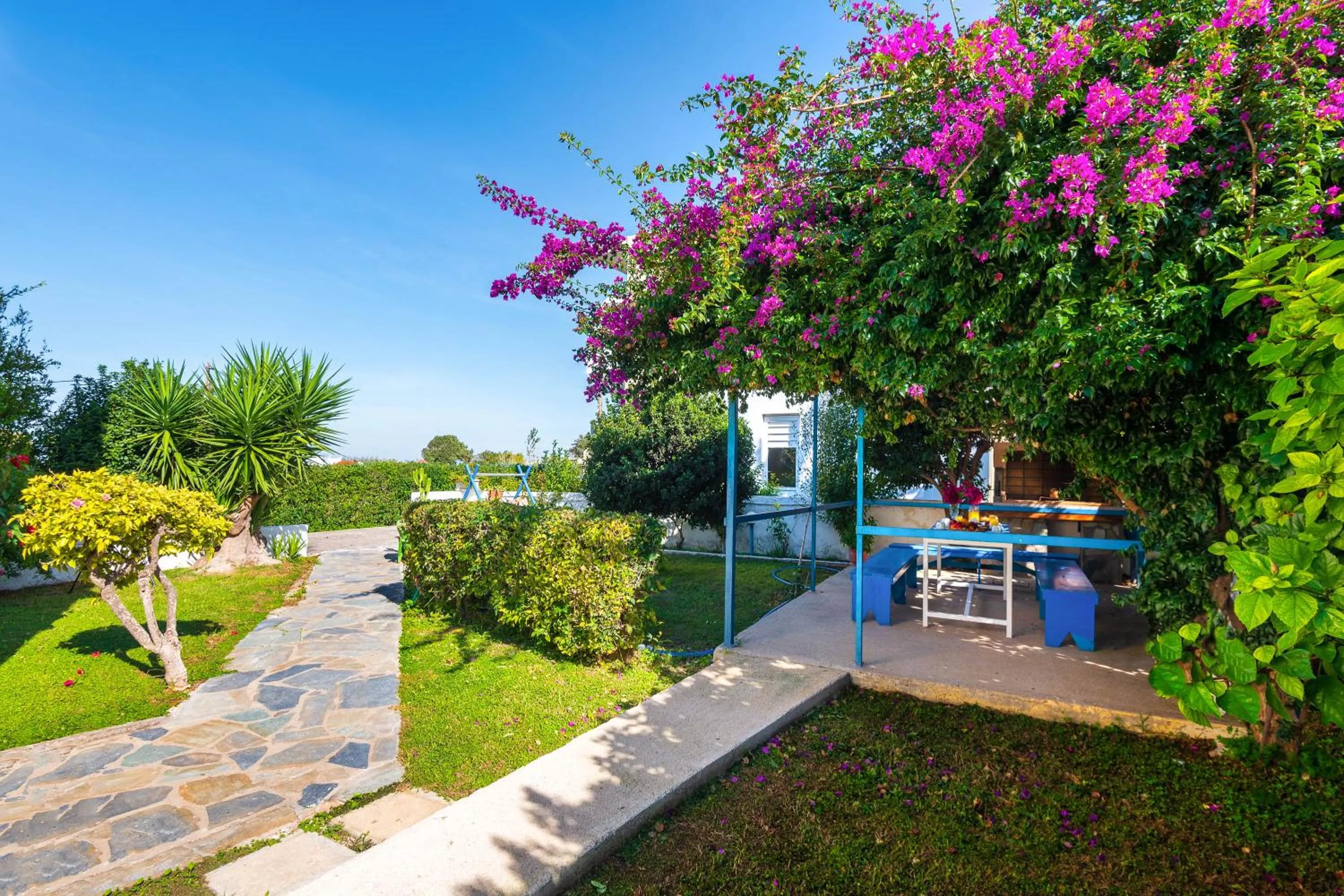 Garden in Litsas Studios