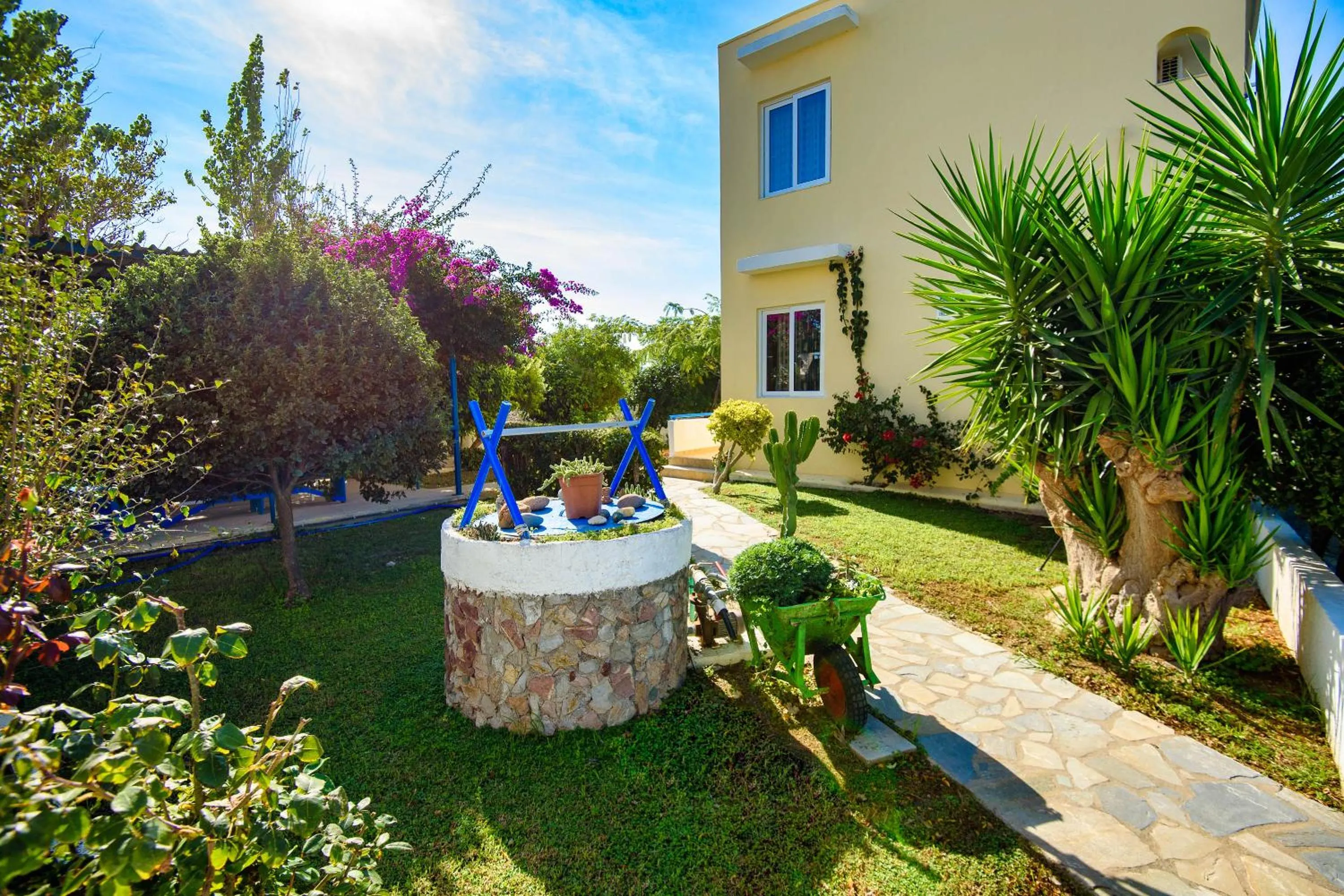 Garden in Litsas Studios