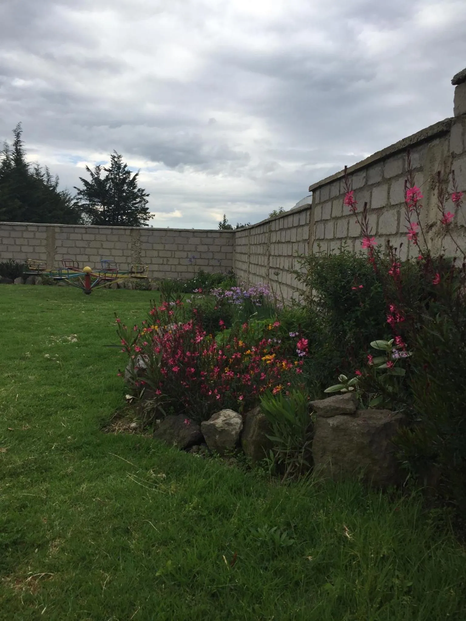 Garden in Bubbles Lodge Kinangop