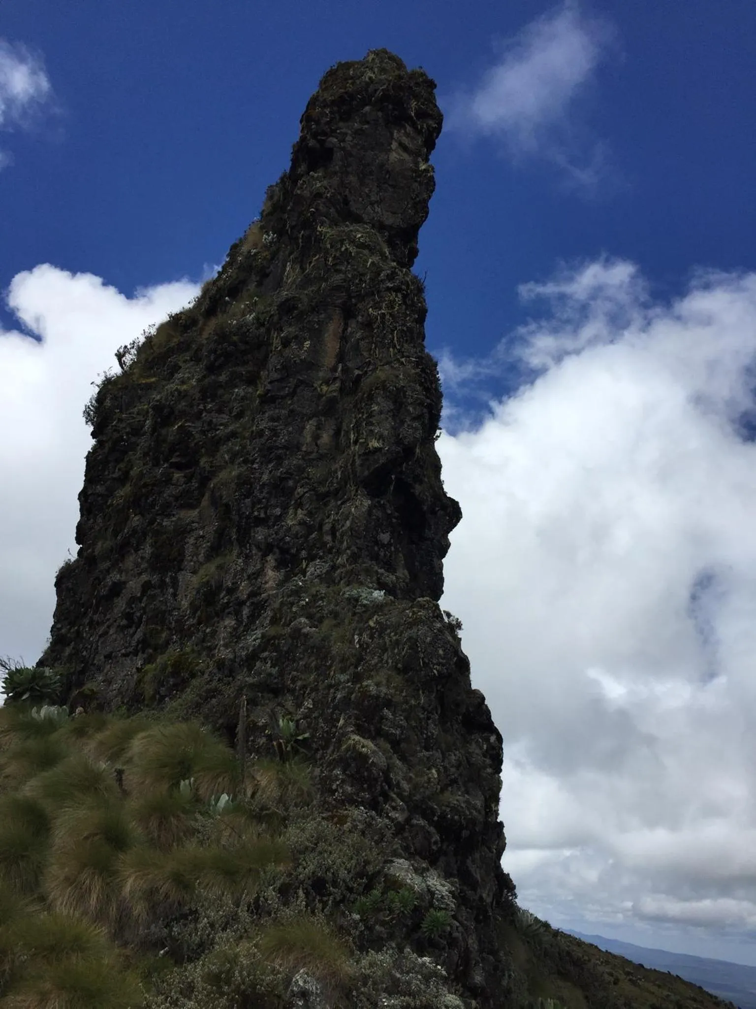 Natural landscape in Bubbles Lodge Kinangop