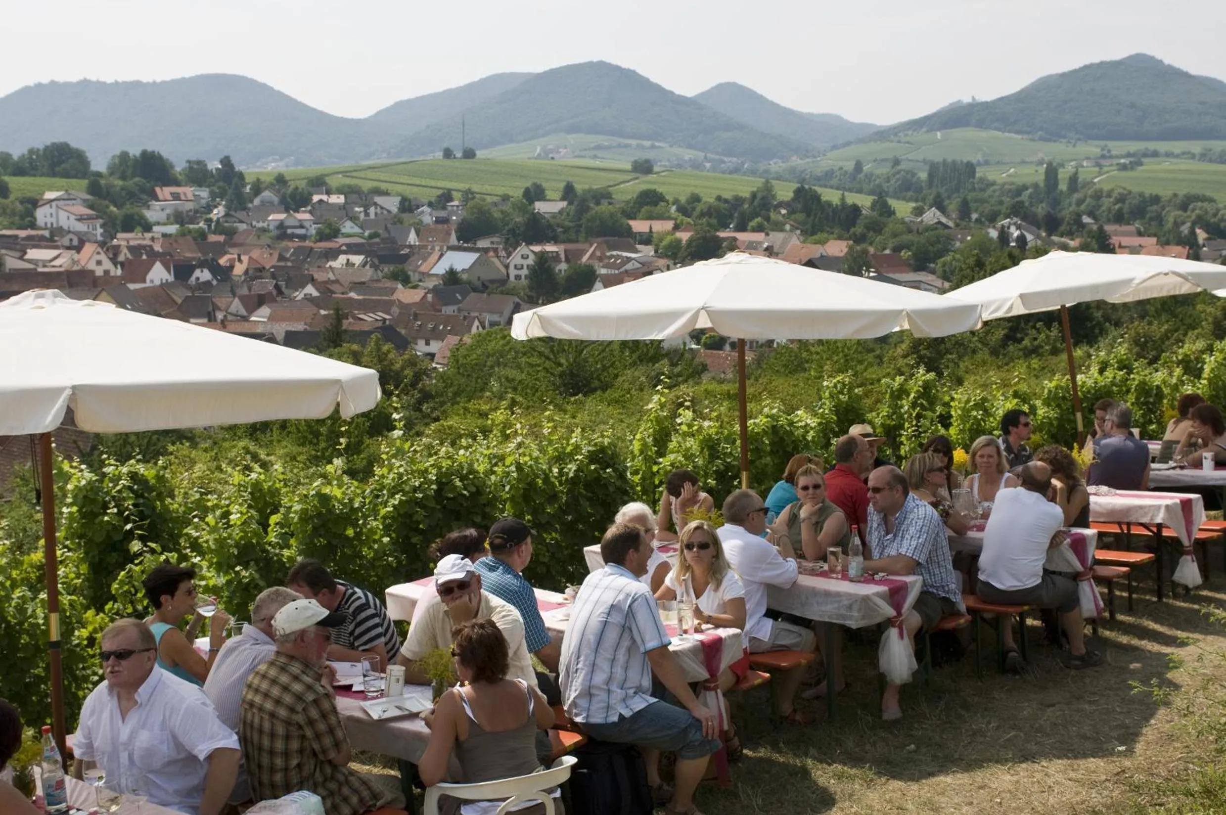 Natural landscape in Hotel Dalberg