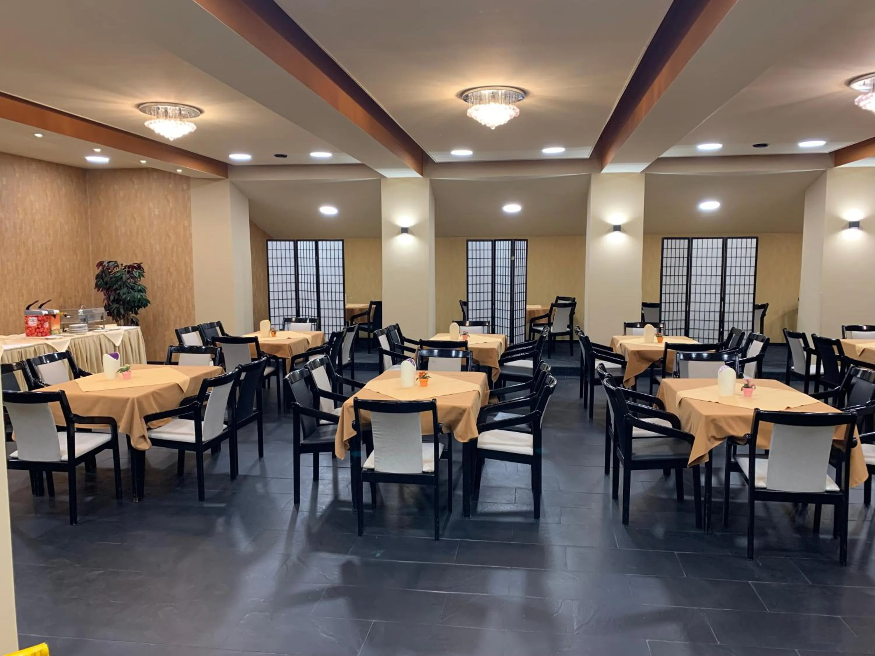 Restaurant/places to eat in Hotel Centrál