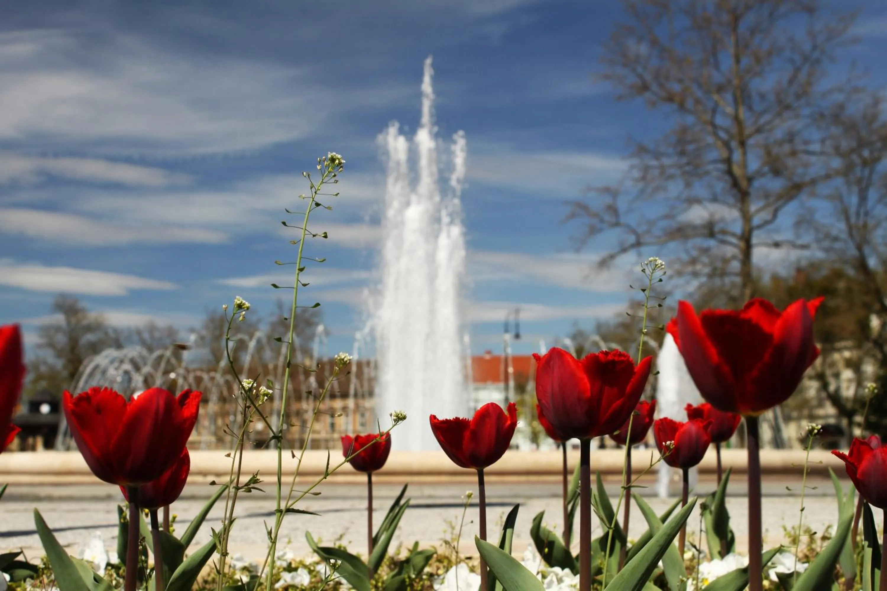 Spring in Hotel Centrál
