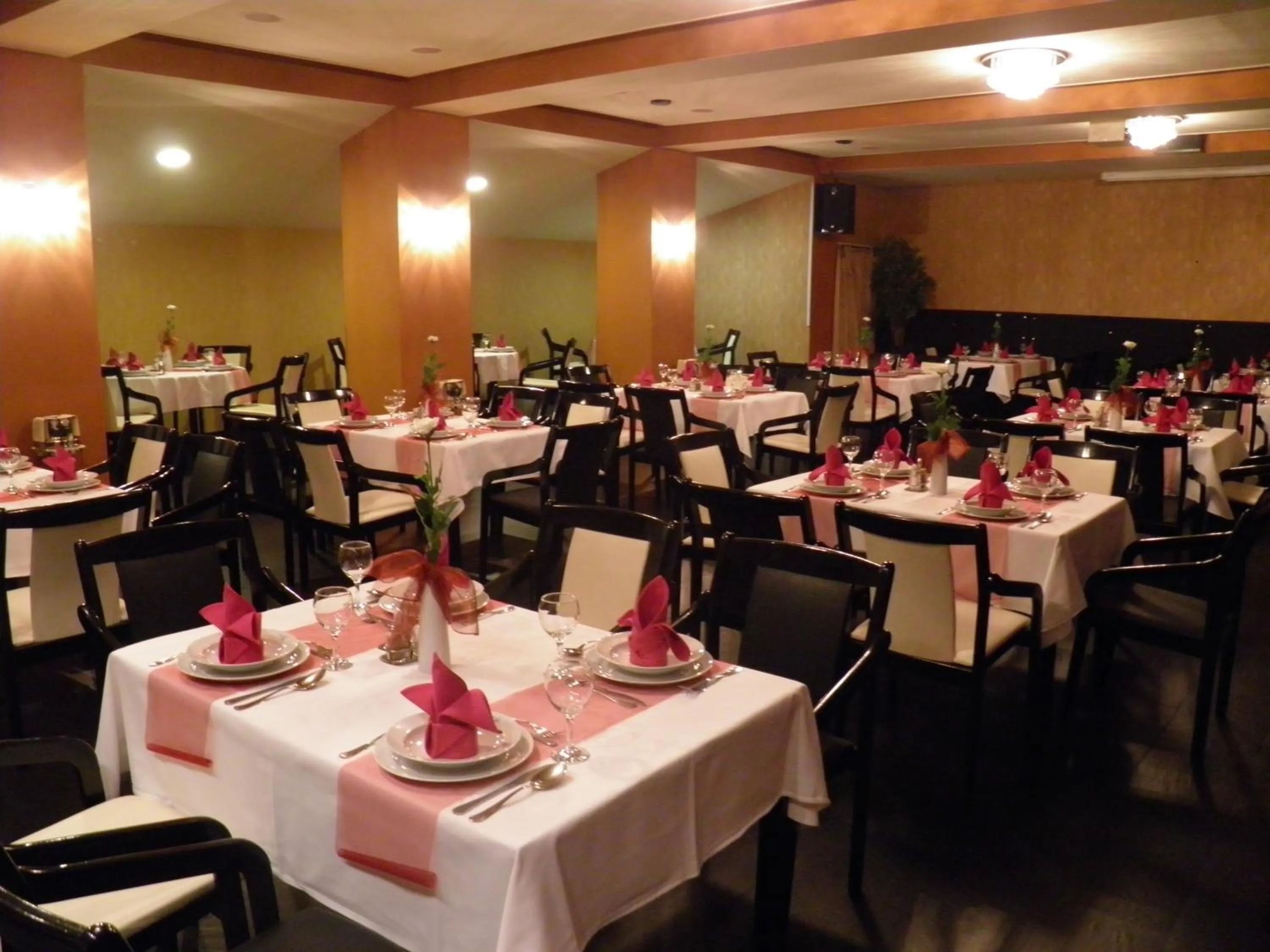 Restaurant/places to eat in Hotel Centrál