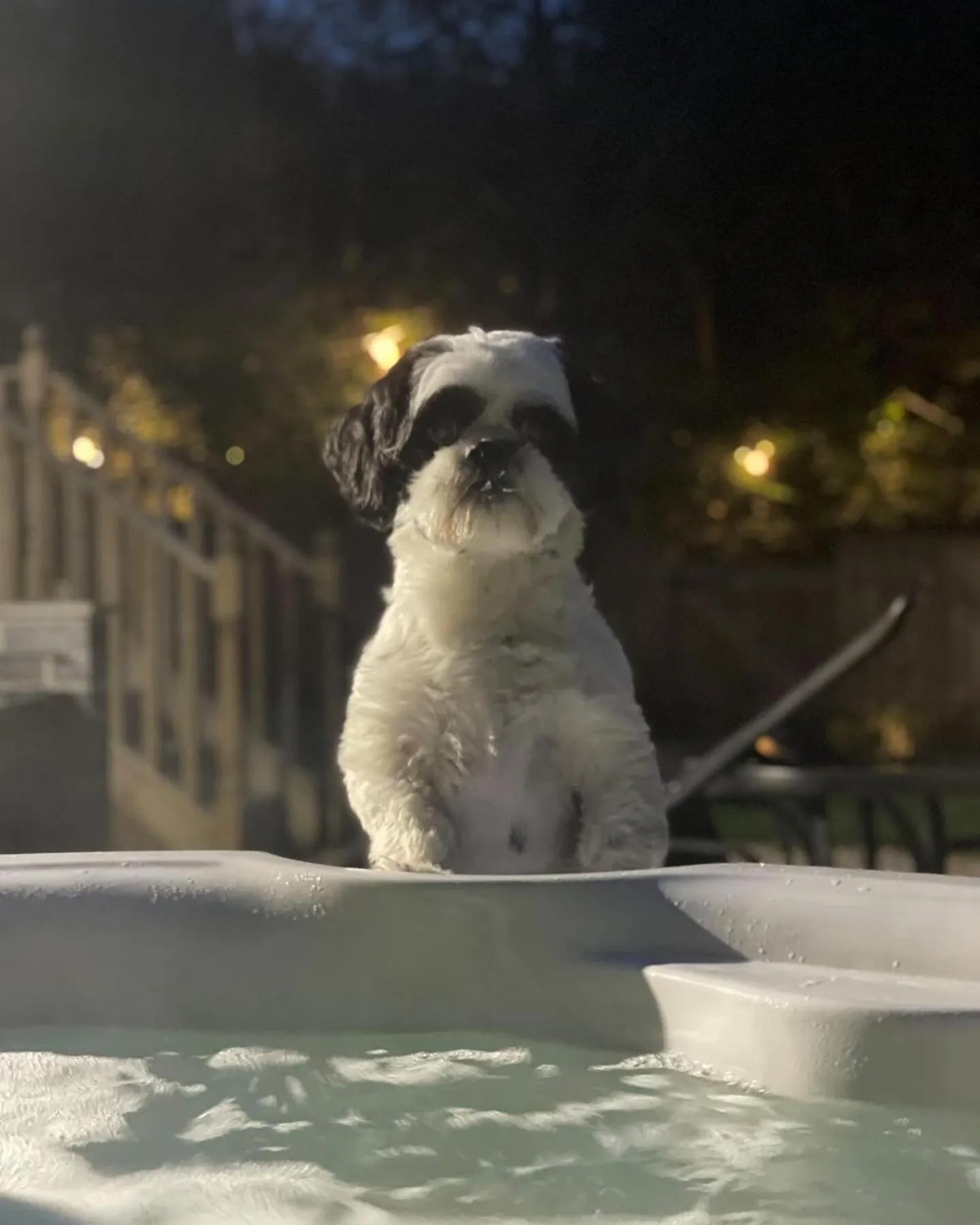 Property building in Cariad