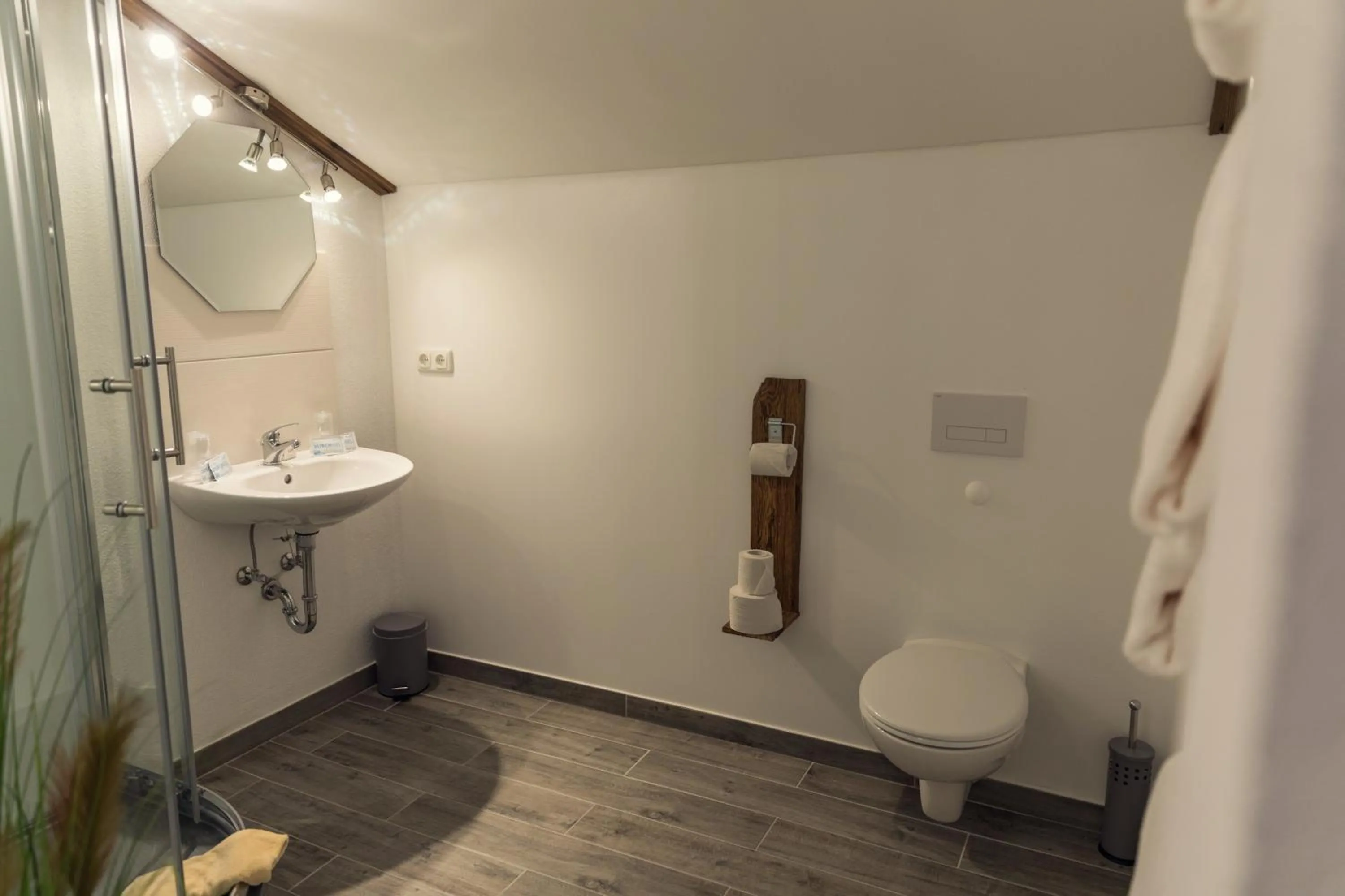 Bathroom in Waldhotel Seebachschleife
