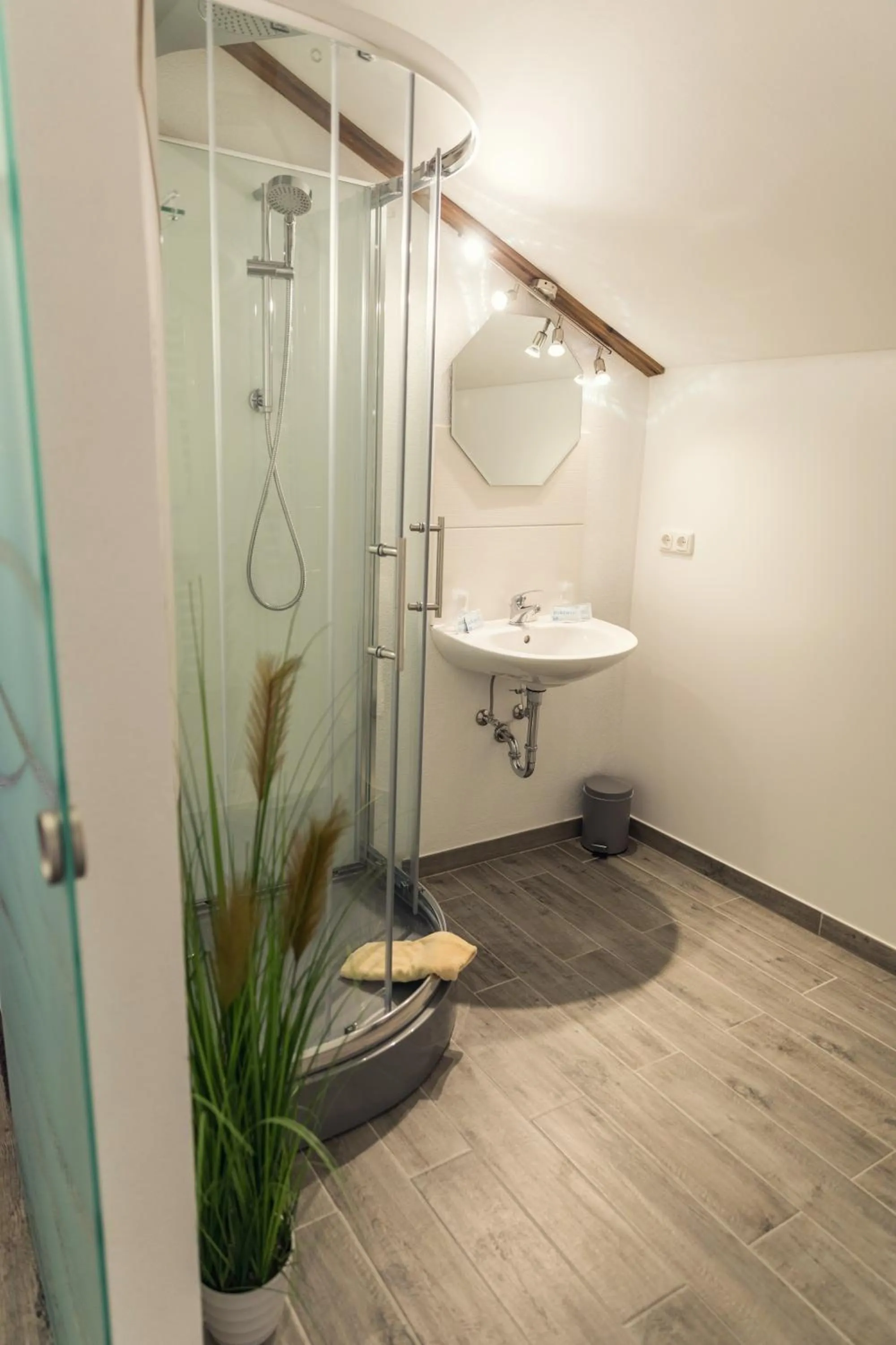Shower in Waldhotel Seebachschleife