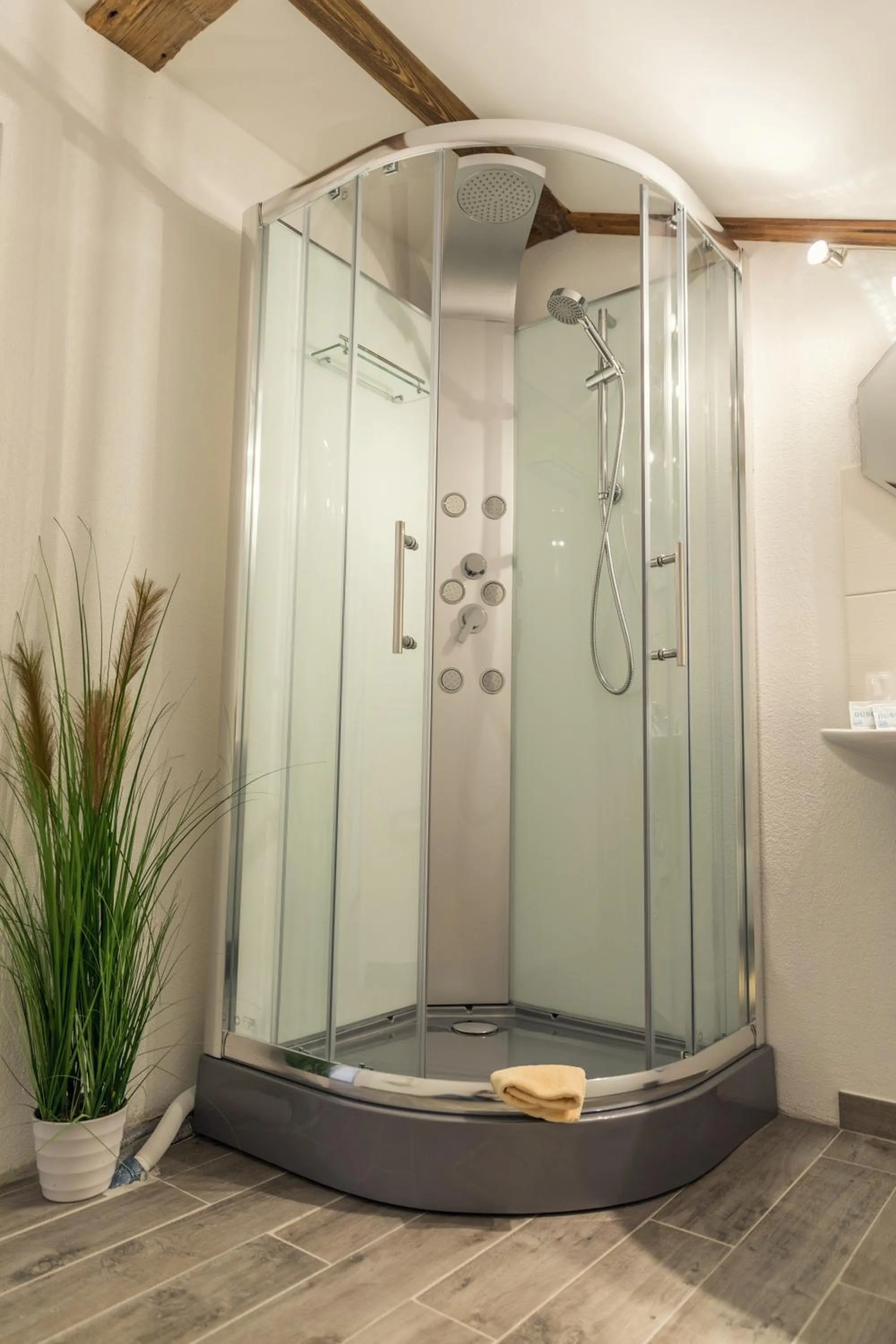 Shower in Waldhotel Seebachschleife