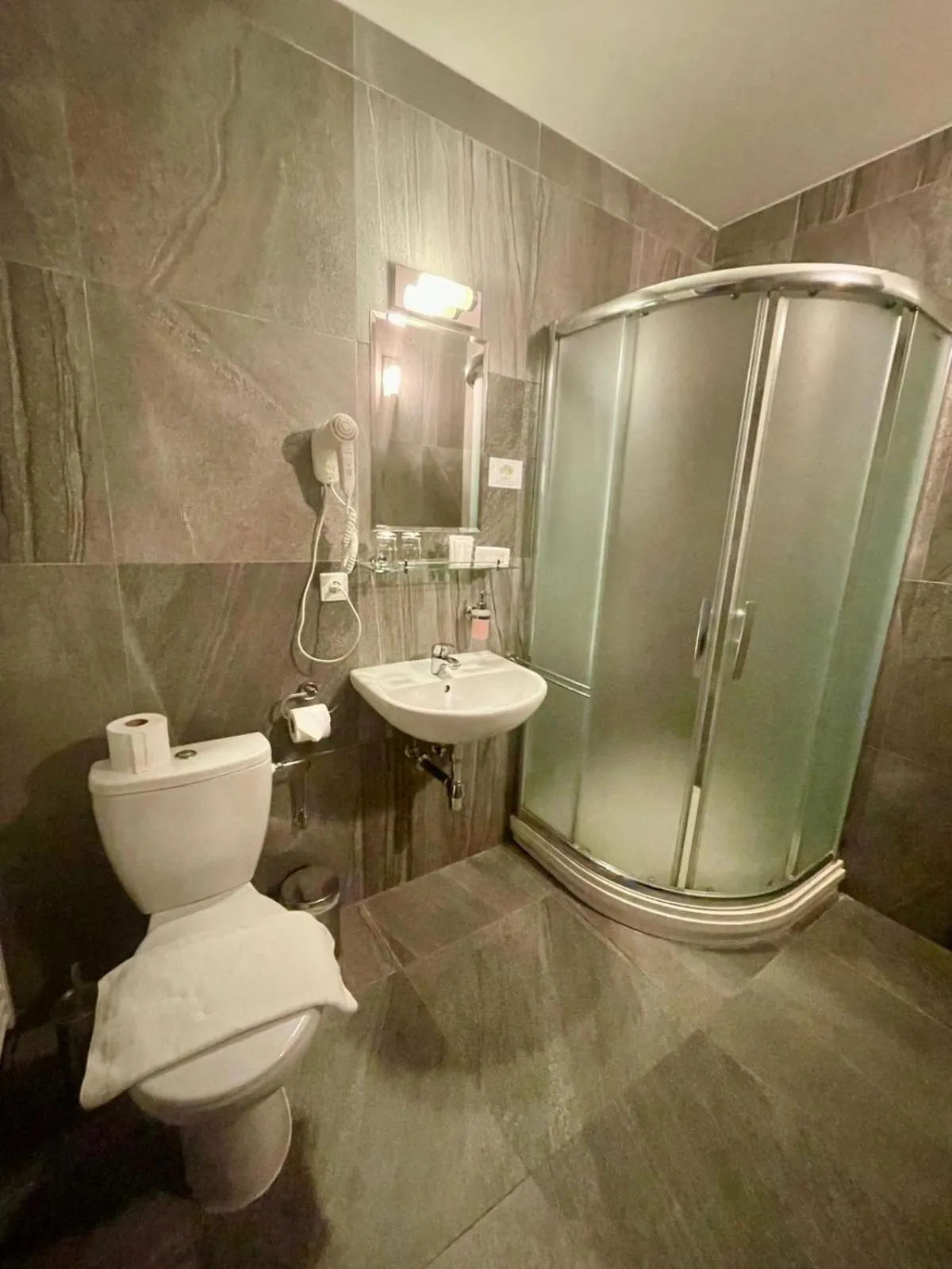 Bathroom in Zlatý Lev Žatec