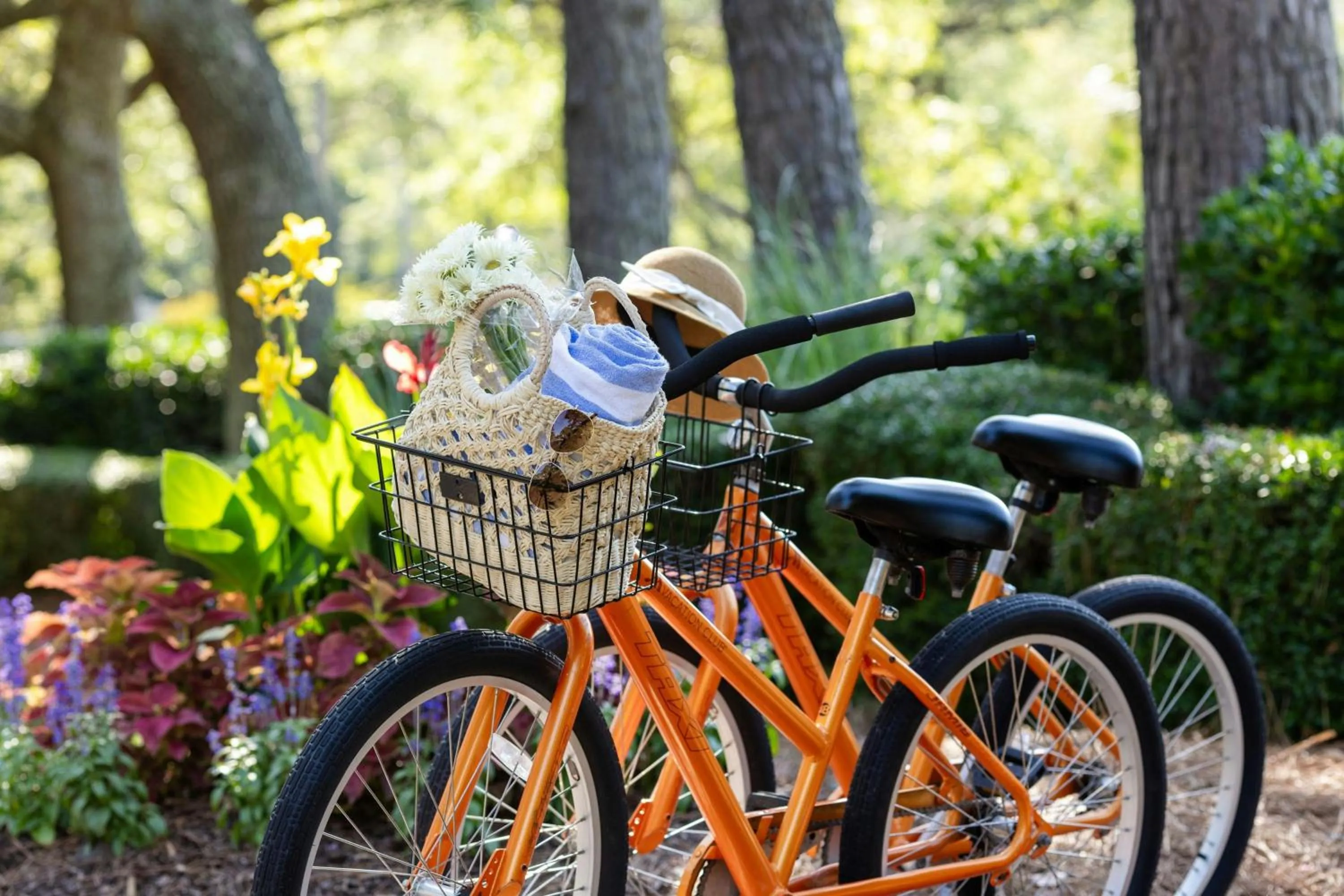 Other in Marriott's Harbour Point and Sunset Pointe at Shelter Cove