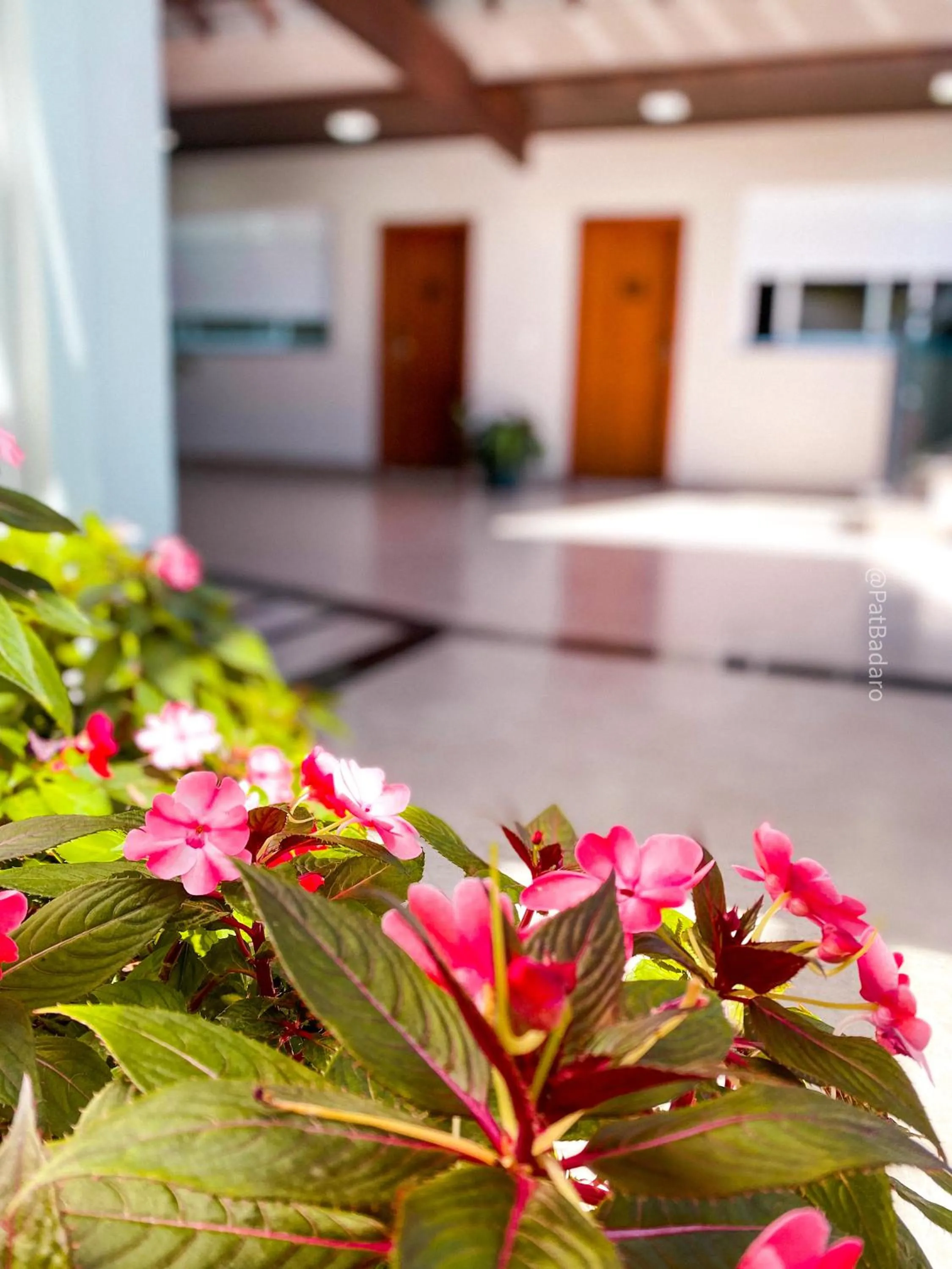 Garden in Pousada Reserva Central