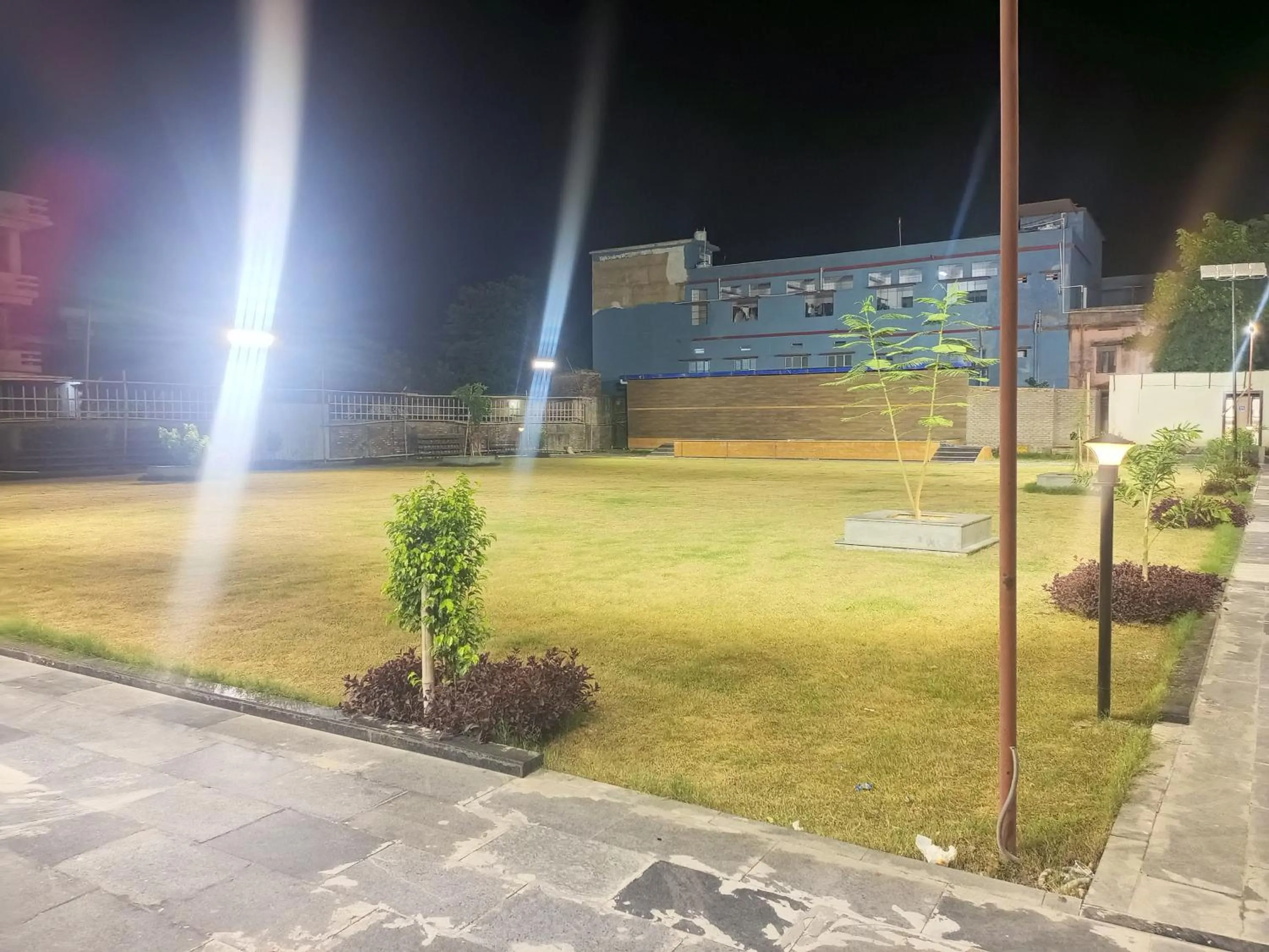 Garden in The Jamun Tree