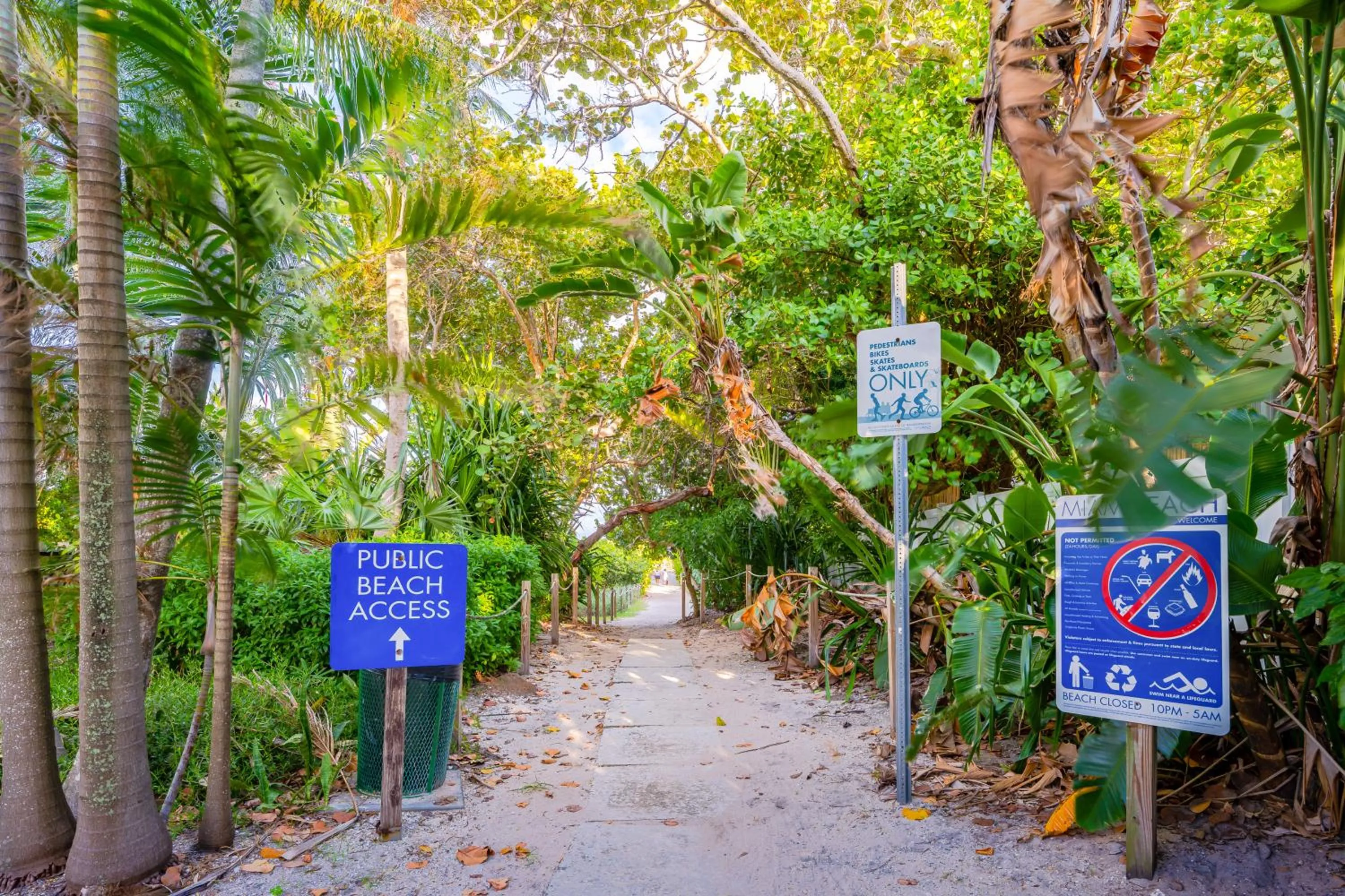 Natural landscape in PRAIA Hotel Boutique & Apartments Miami Beach