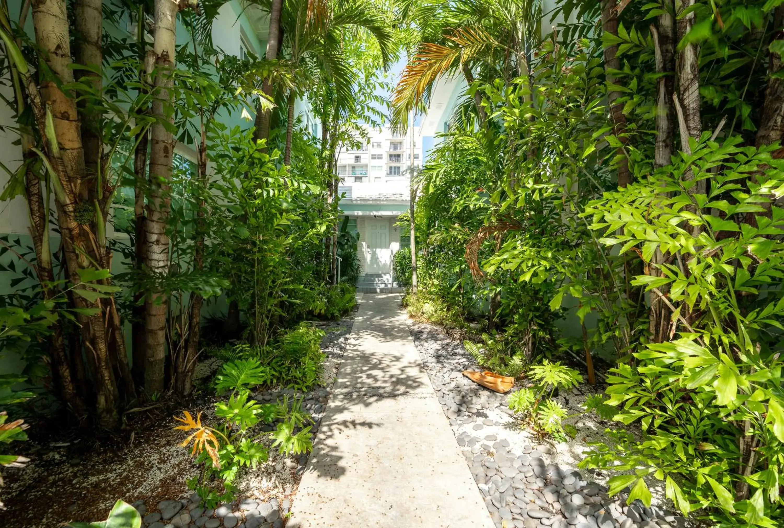 Garden view in PRAIA Hotel Boutique & Apartments Miami Beach Garden view in PRAIA Hotel Boutique & Apartments Miami Beach