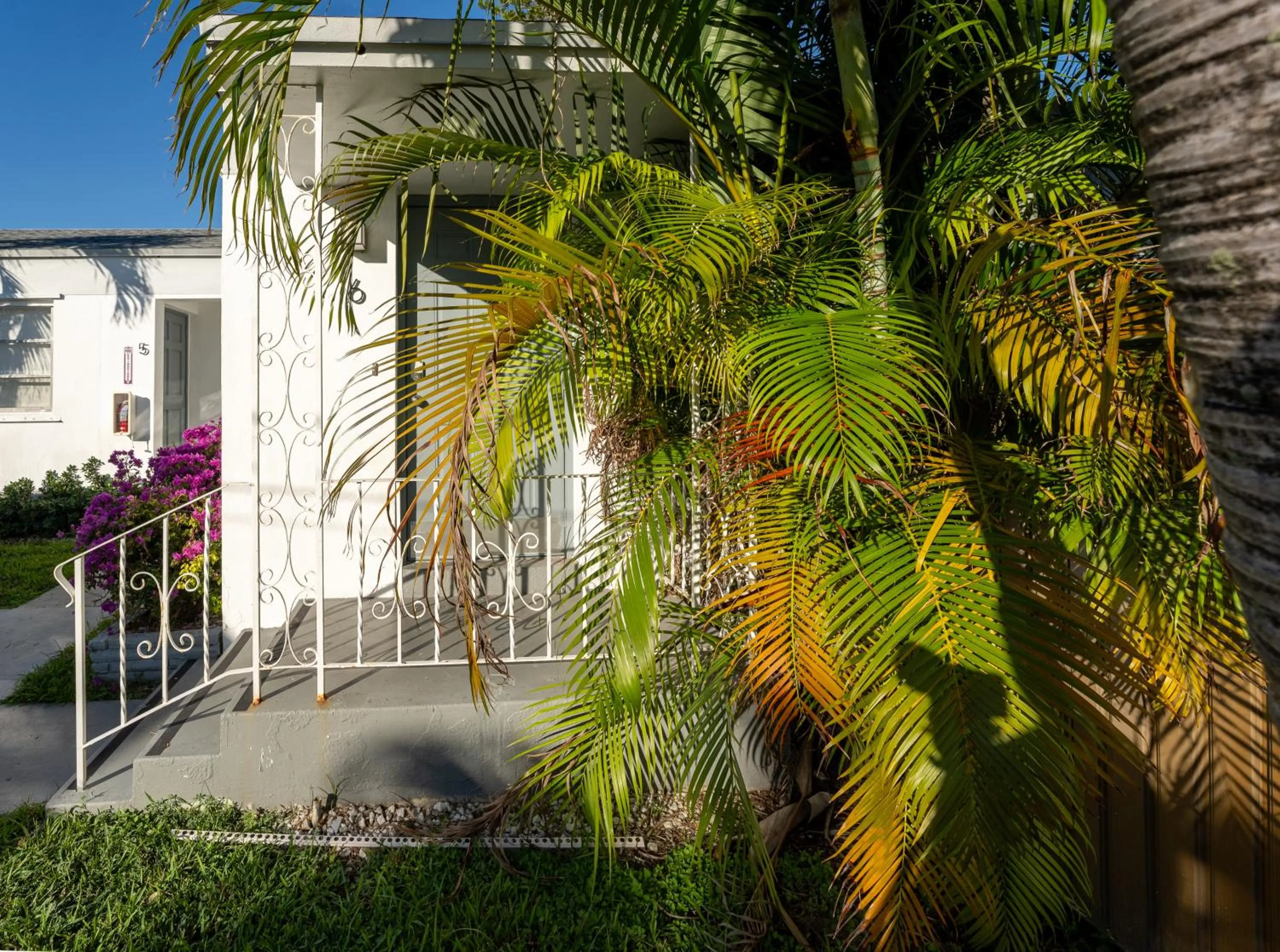 Garden in PRAIA Hotel Hollywood