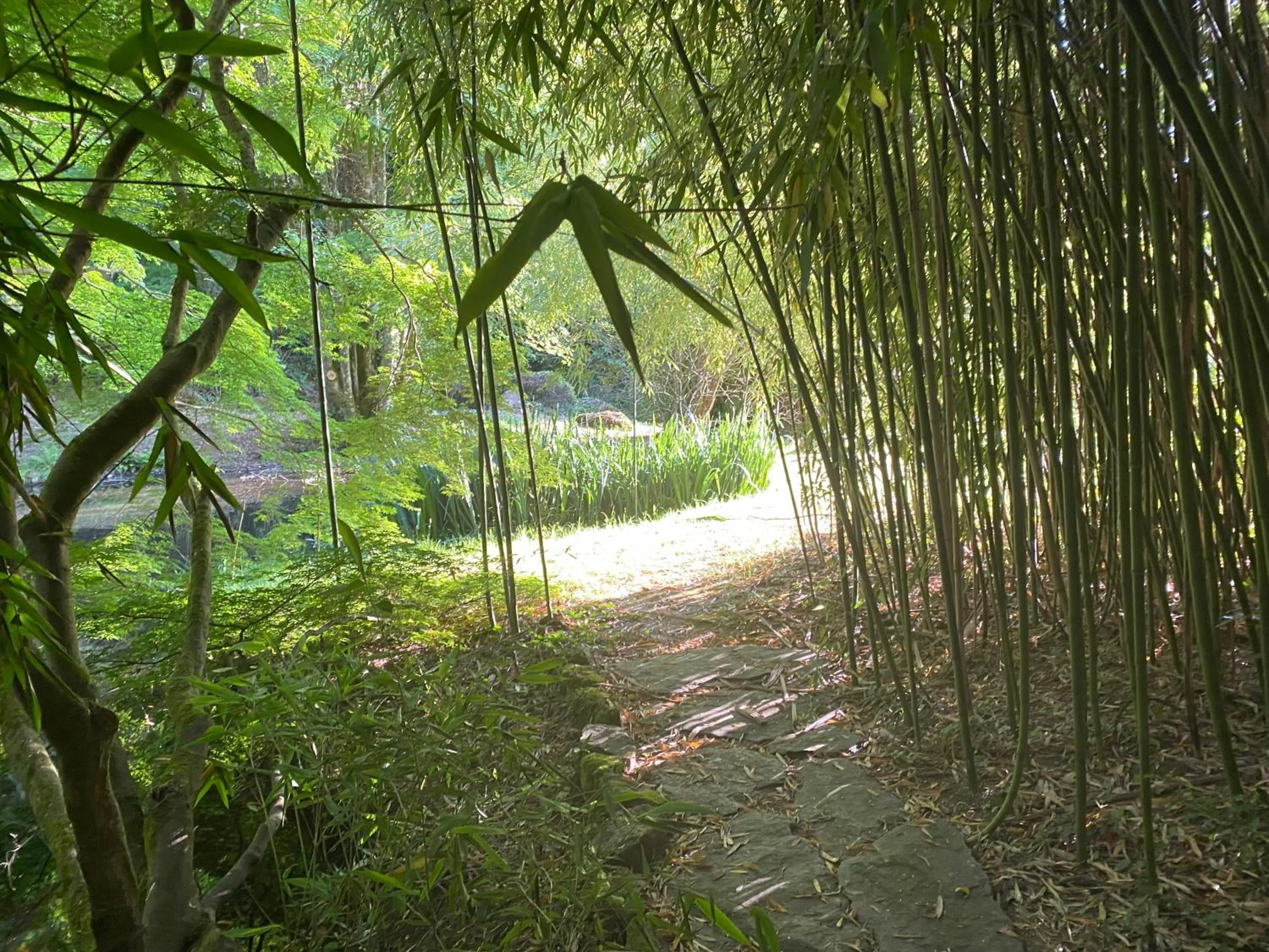 Garden in Les Moulins Du Duc ÉCOLODGE