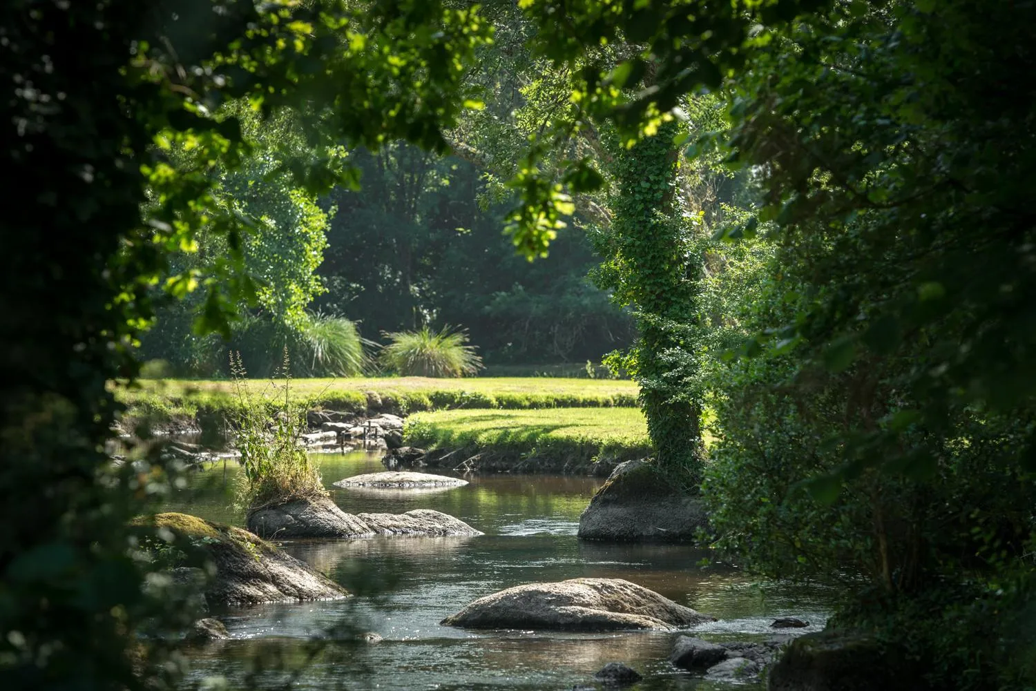River view in Les Moulins Du Duc ÉCOLODGE