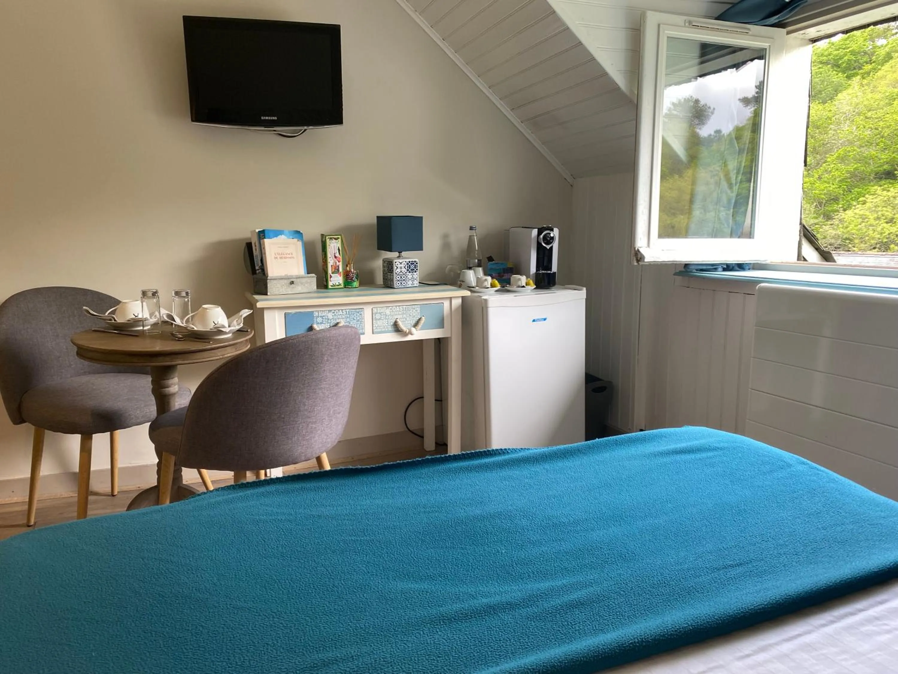 TV and multimedia in Les Moulins Du Duc ÉCOLODGE