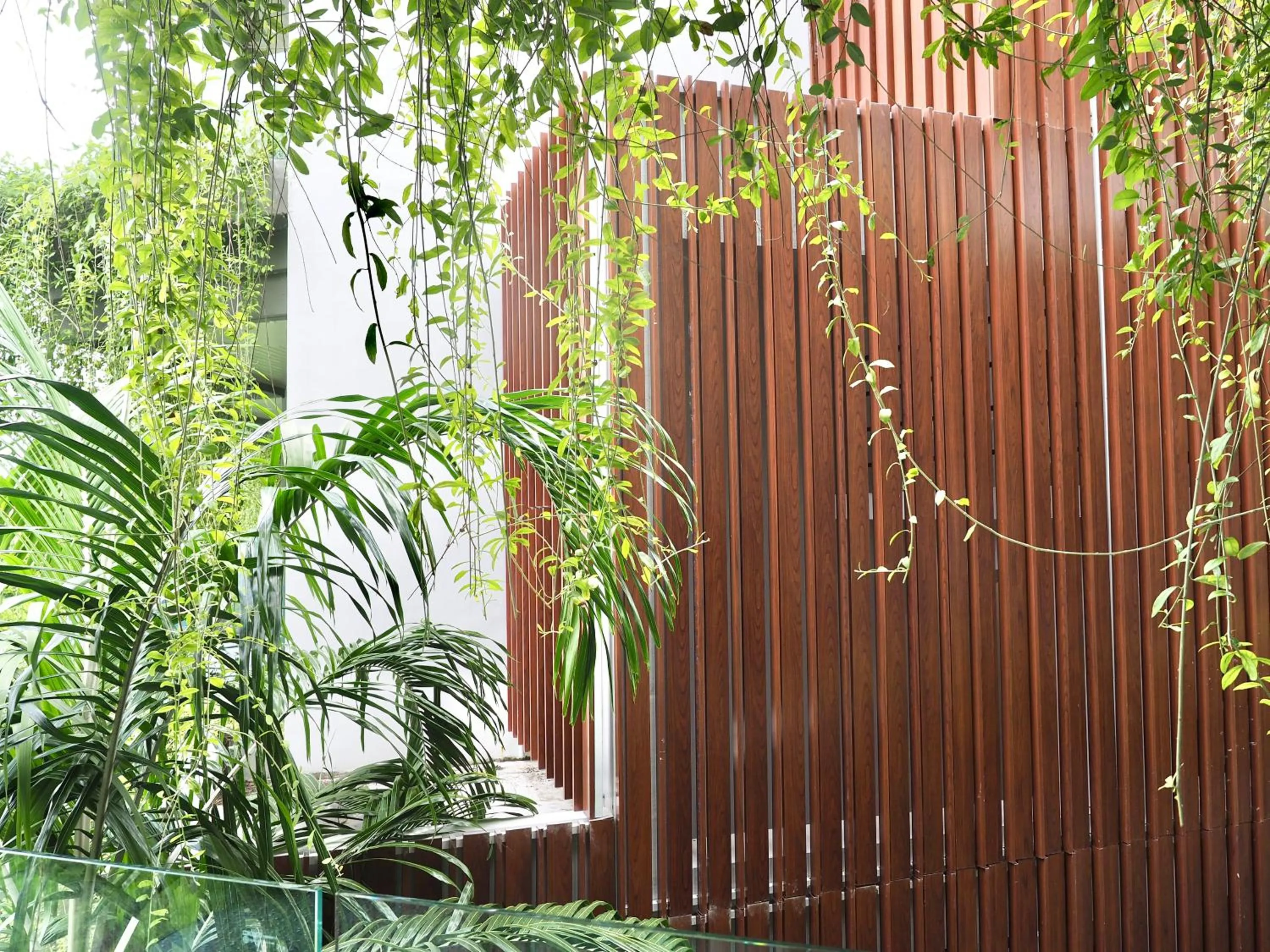 View (from property/room) in Panwaburi Beachfront Resort - SHA Extra Plus