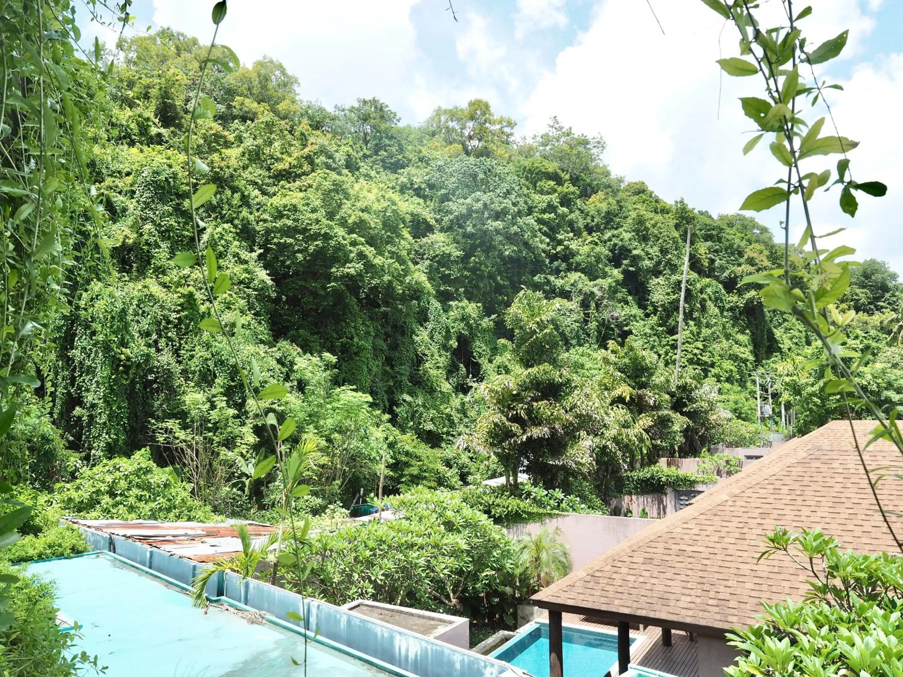 View (from property/room) in Panwaburi Beachfront Resort - SHA Extra Plus