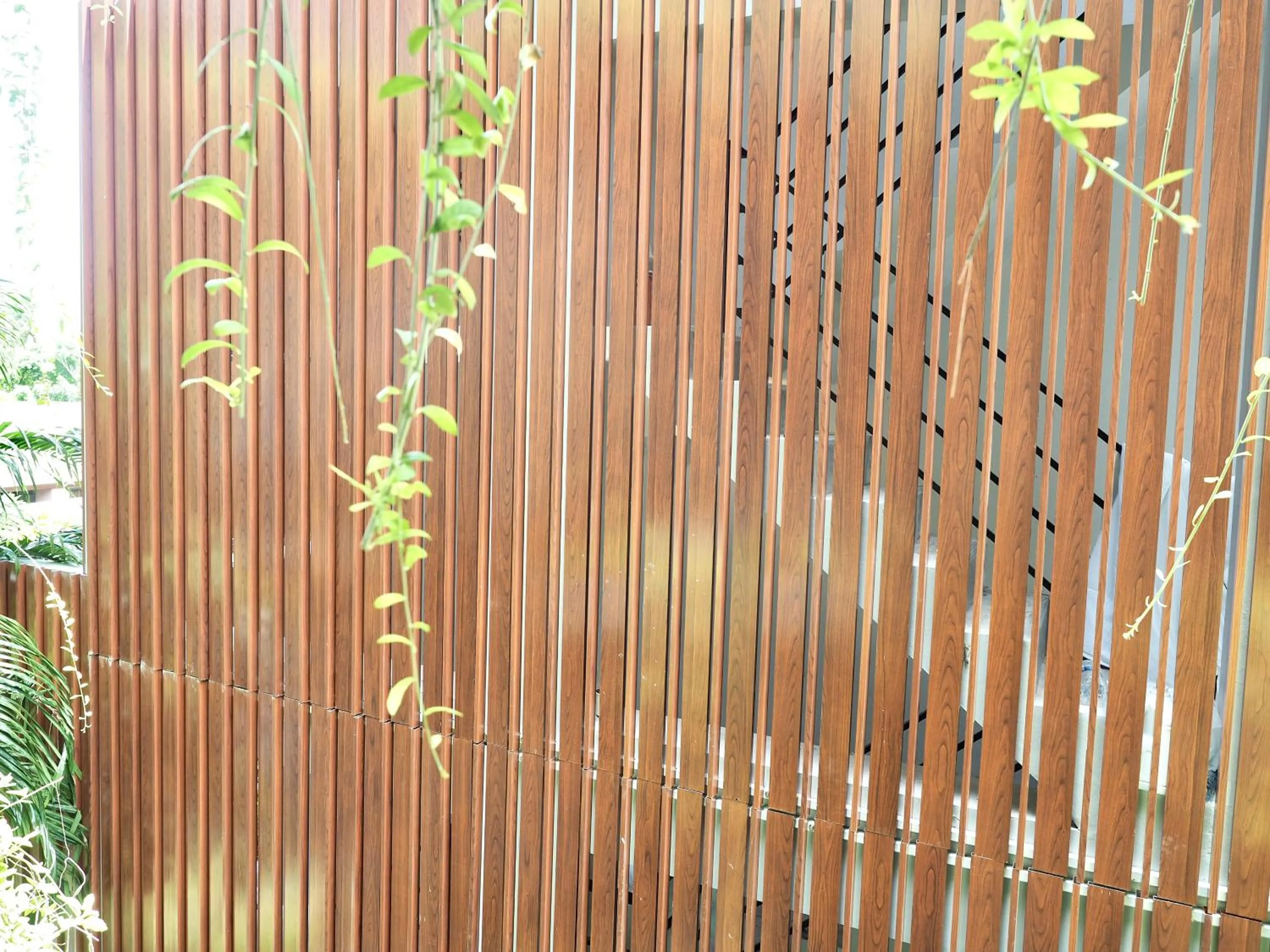 View (from property/room) in Panwaburi Beachfront Resort - SHA Extra Plus