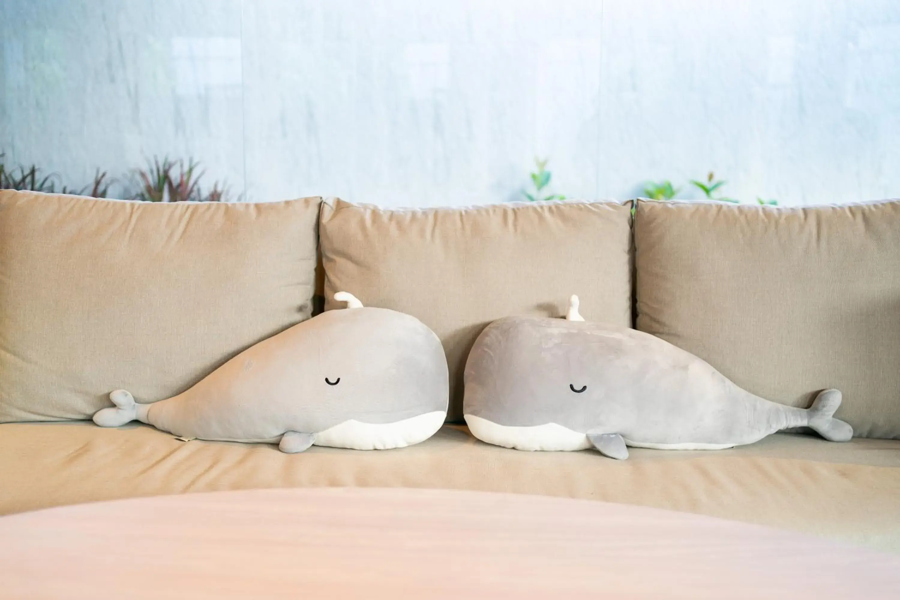 Lobby or reception in Panwaburi Beachfront Resort - SHA Extra Plus Lobby or reception in Panwaburi Beachfront Resort - SHA Extra Plus