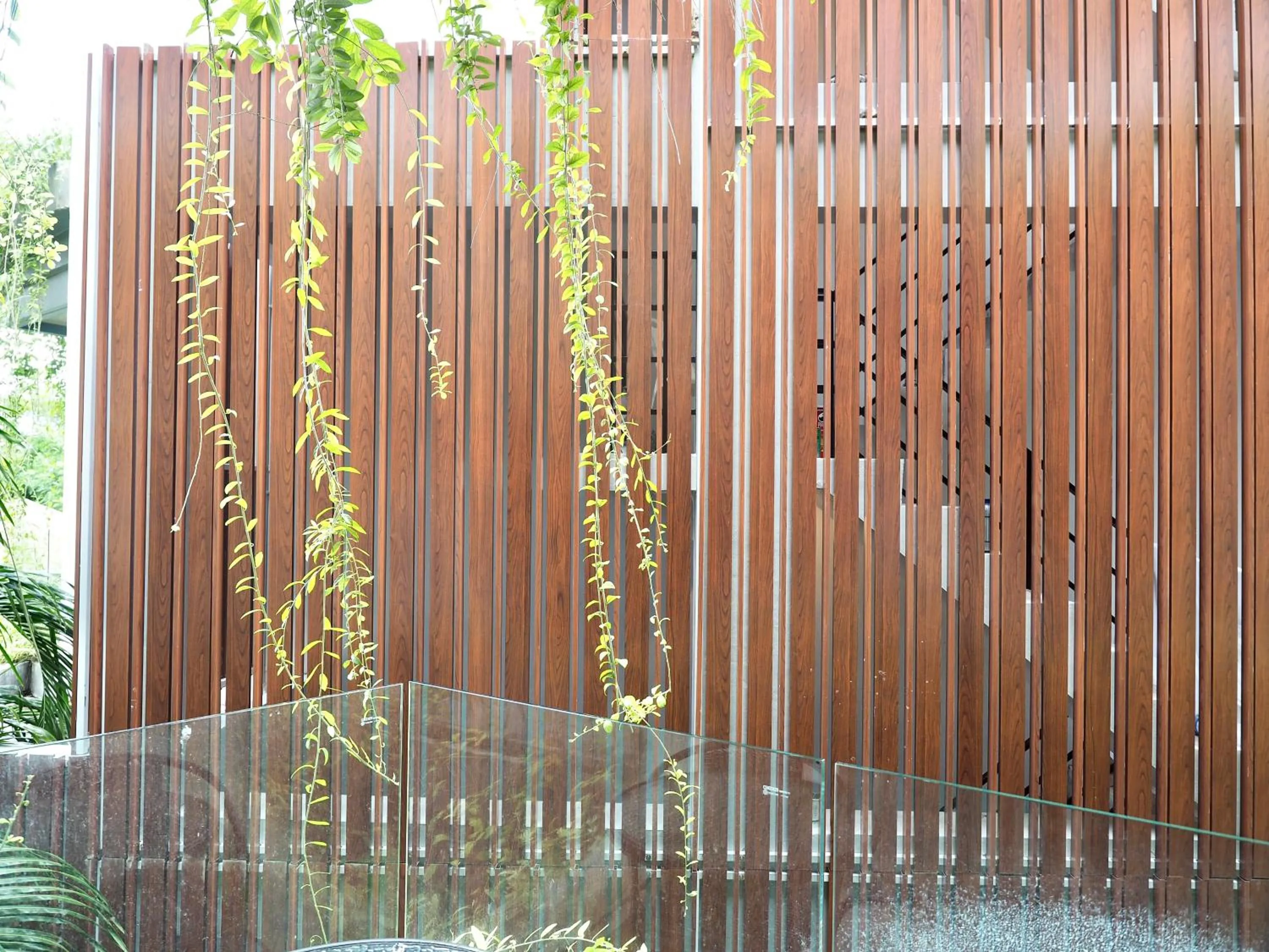 View (from property/room) in Panwaburi Beachfront Resort - SHA Extra Plus