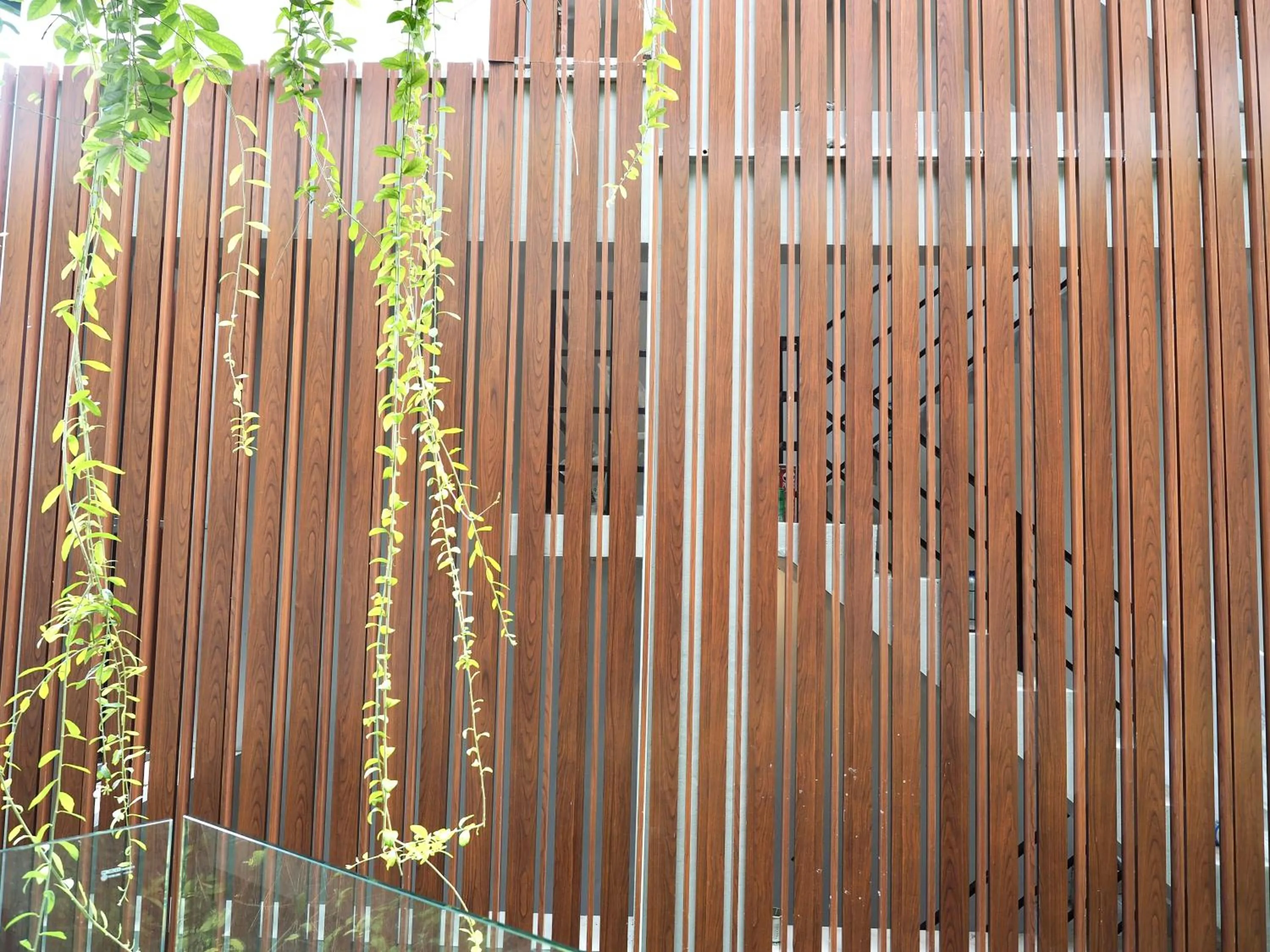 View (from property/room) in Panwaburi Beachfront Resort - SHA Extra Plus